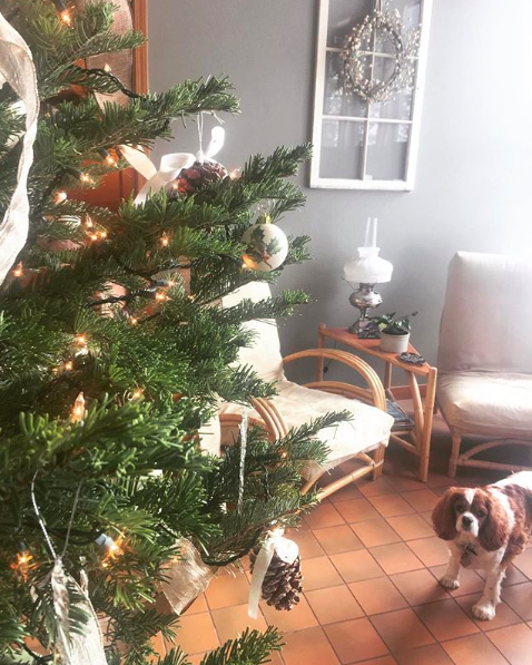Why Not . . . Prepare for the Holidays?