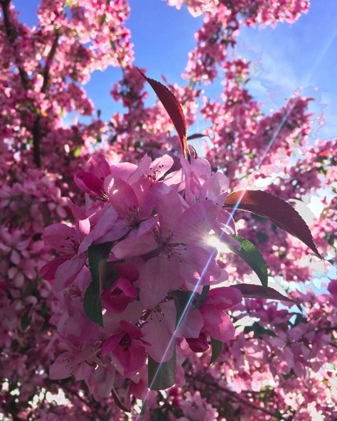 Why Not . . . Prep for Spring?