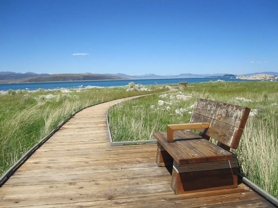 Why Not . . . Unplug?