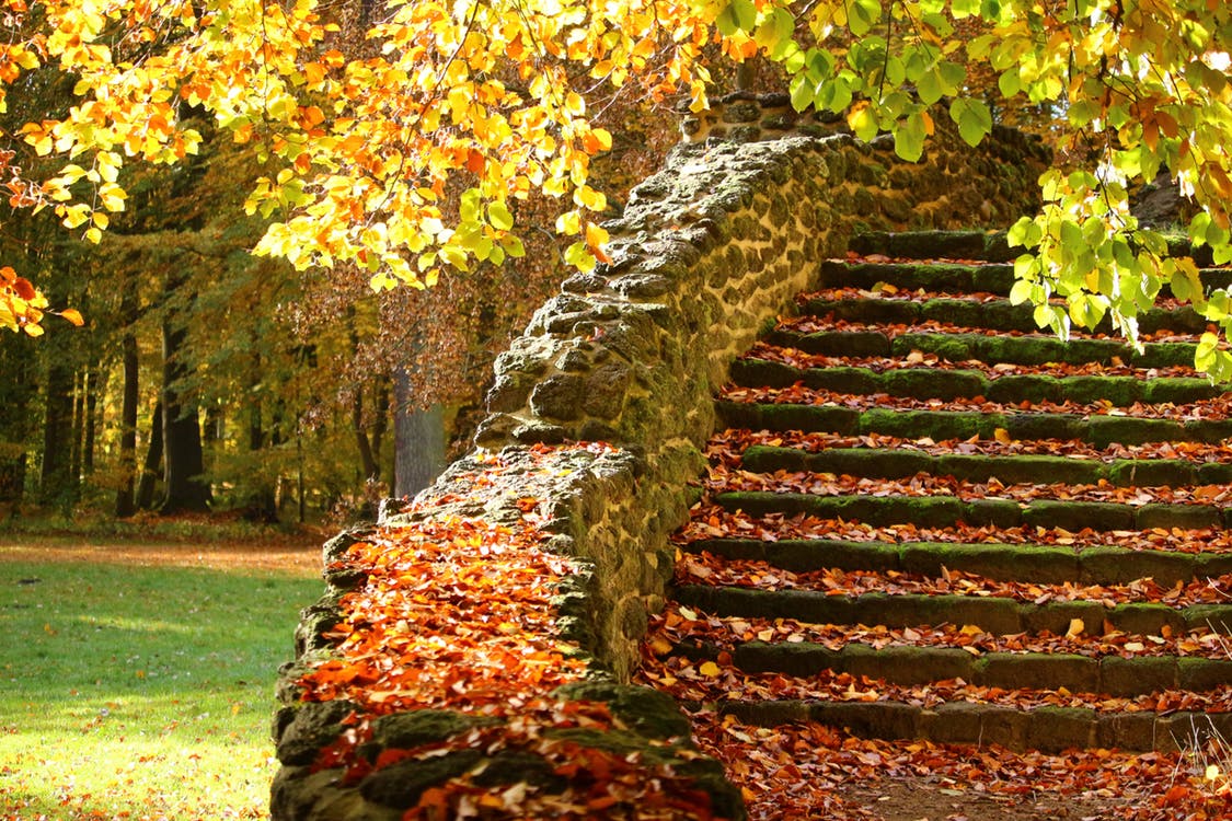 Why Not . . . Create a Memorable Thanksgiving?