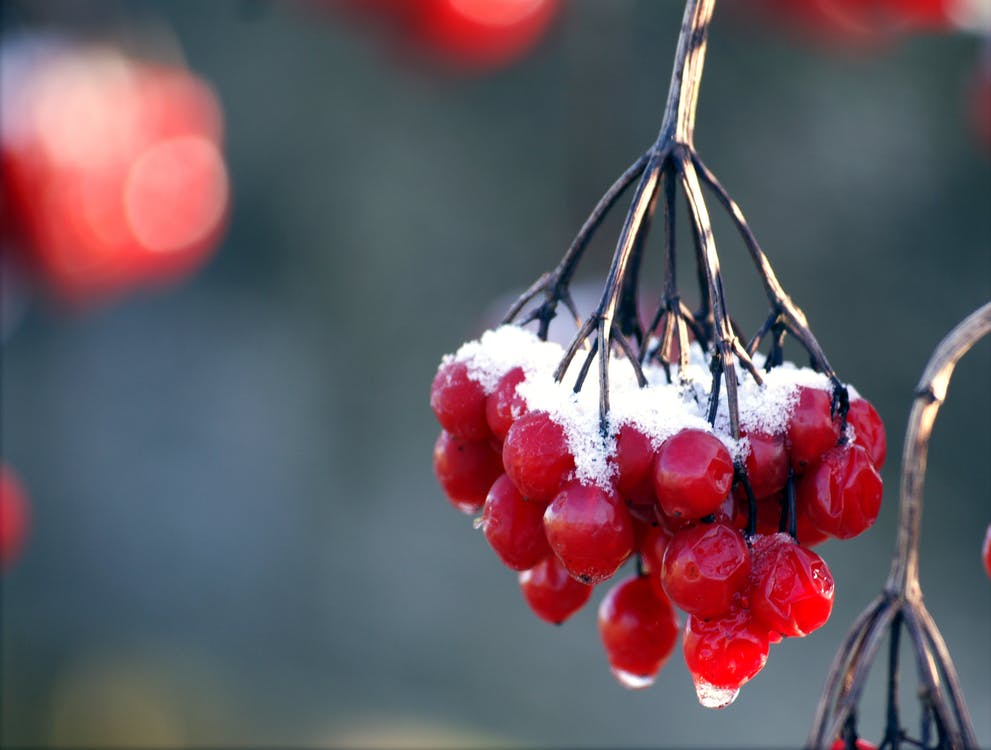 34 Simply Luxurious Things I Love About the Holidays