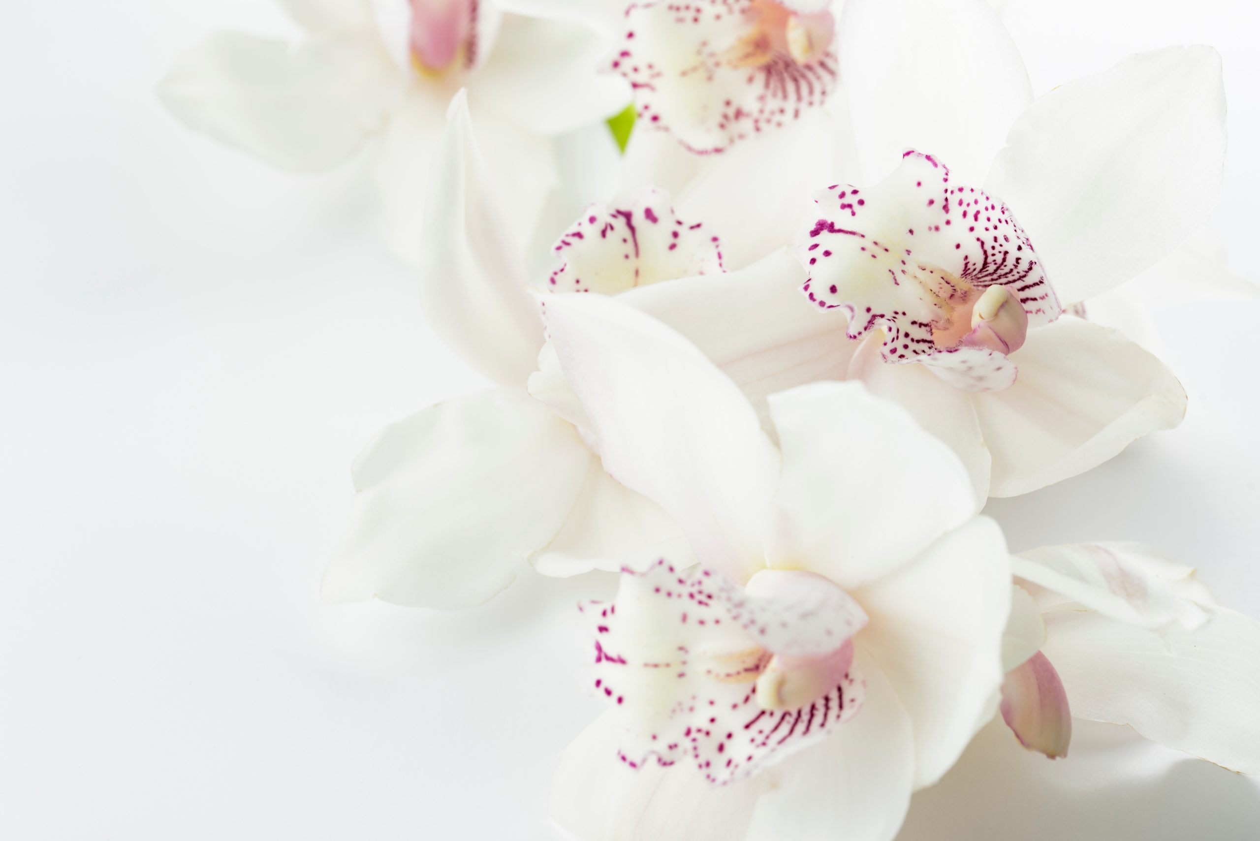 thesimplyluxuriouslie.com | the simply luxurious life
