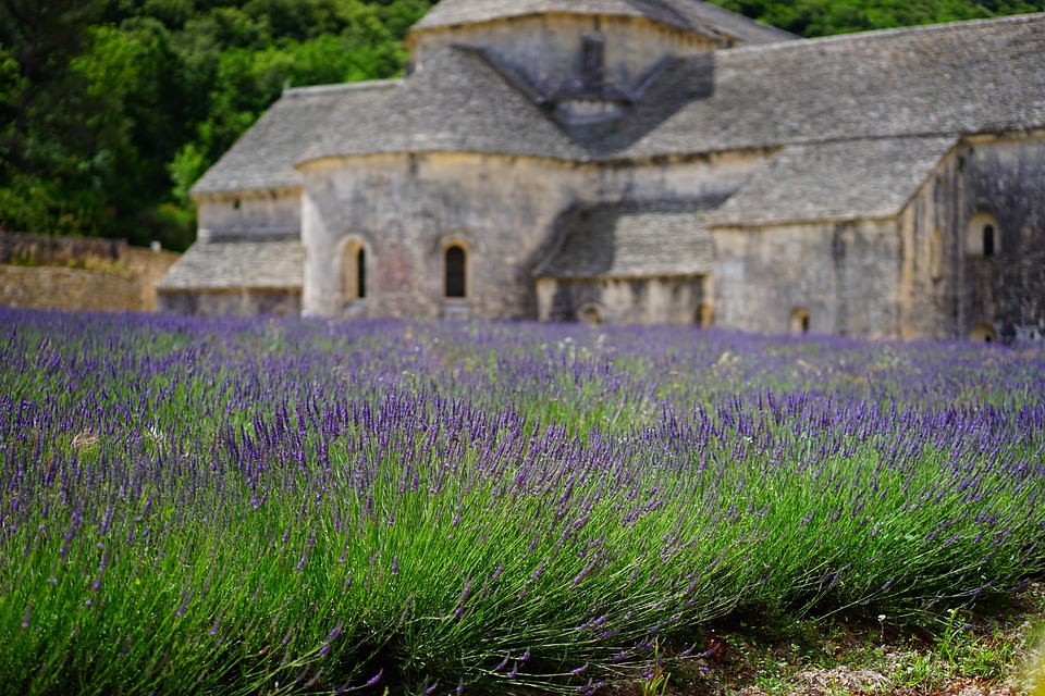 4: 10 Ways to Unearth Your Inner Francophile