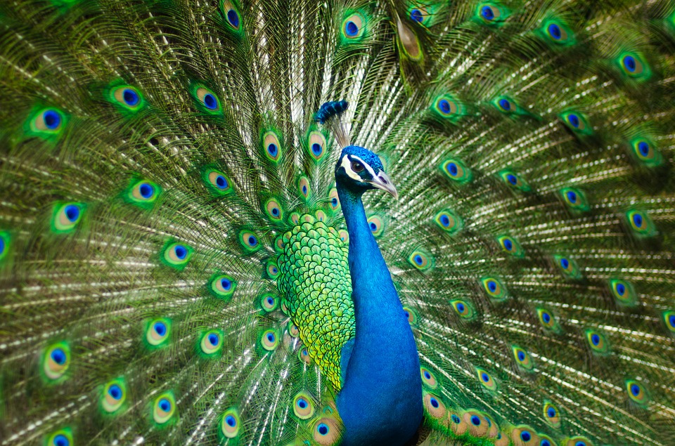 5: Confidence: How to Gain It & Why It’s Invaluable
