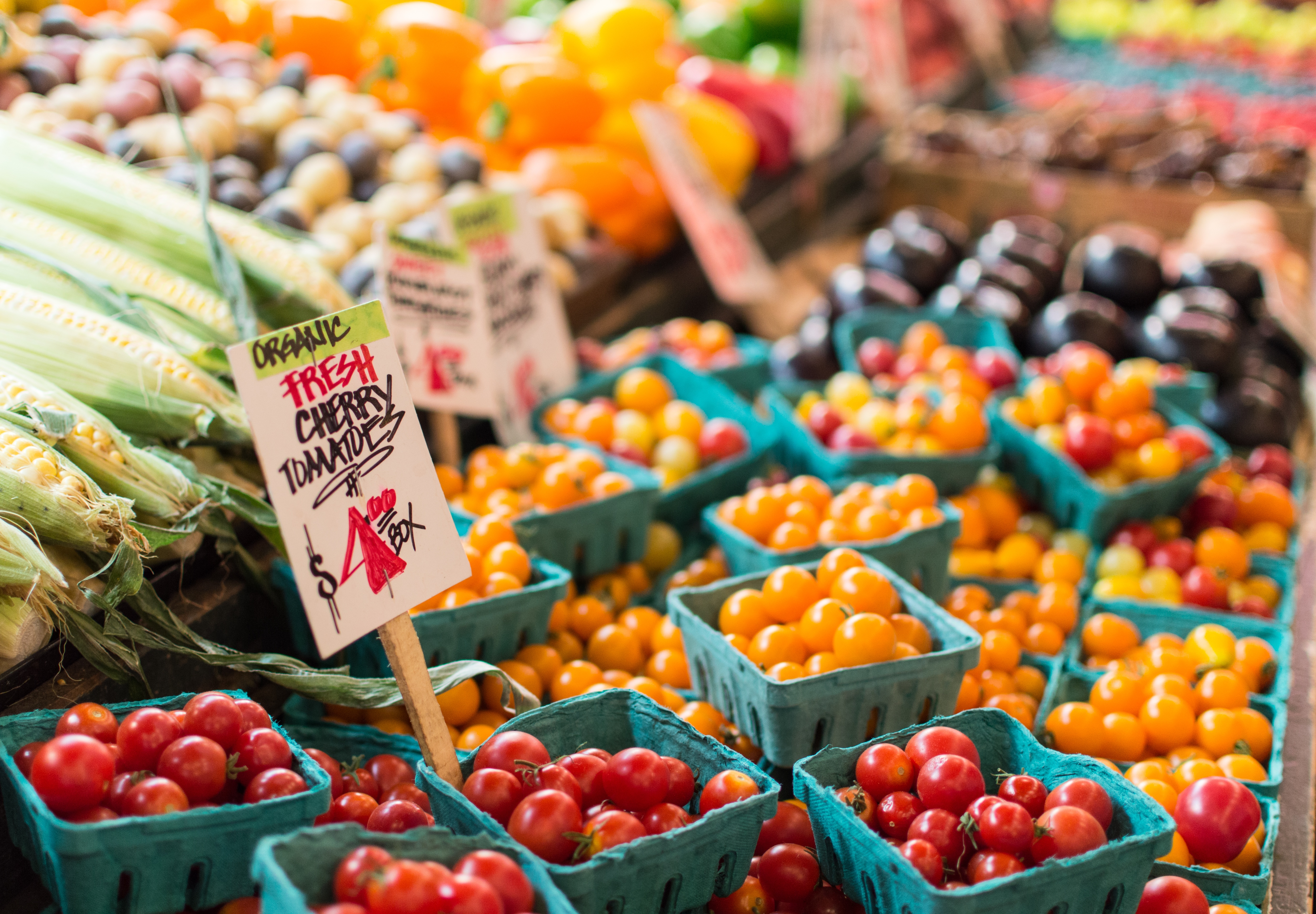 8: Love Food, Love Your Body – 10 Simple Tips