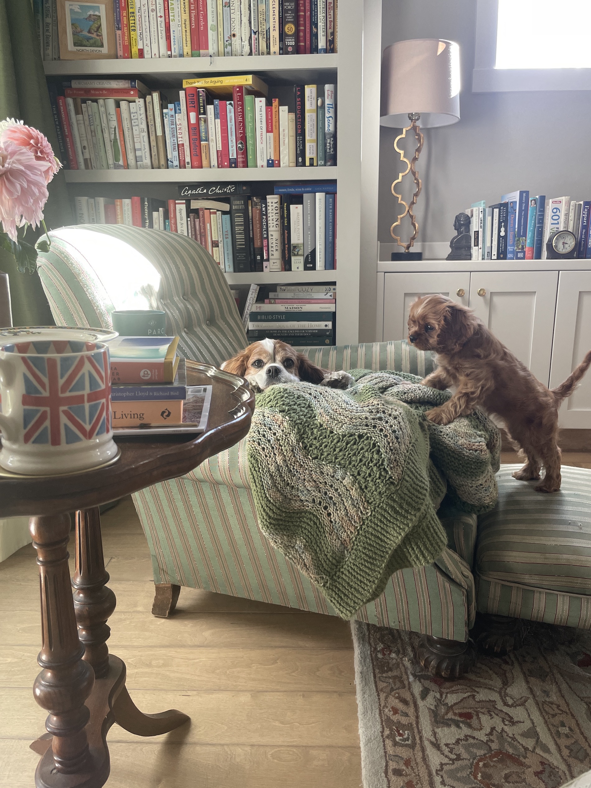 Letter from the Editor: Reading & Curiosity
