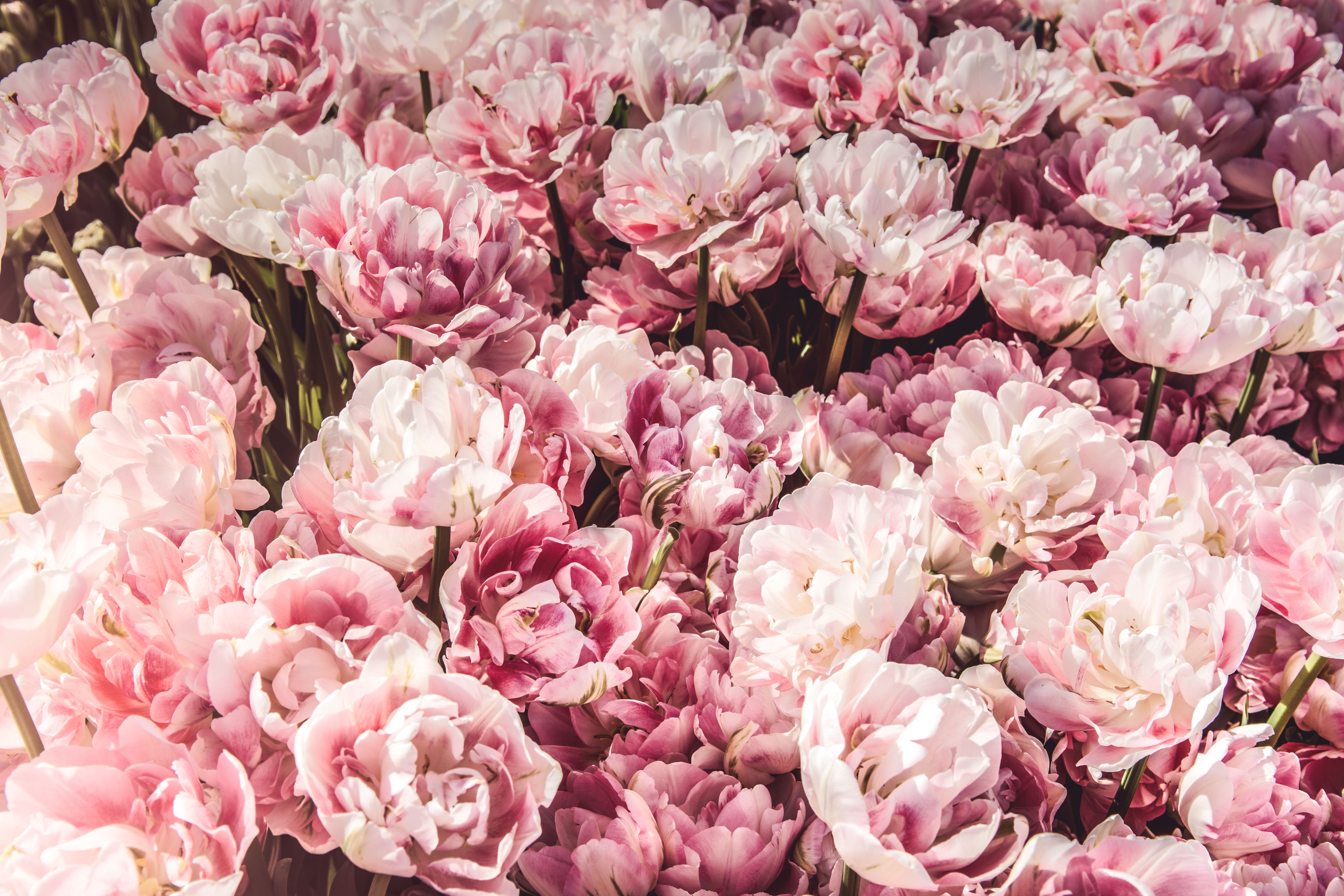 thesimplyluxuriouslie.com | the simply luxurious life