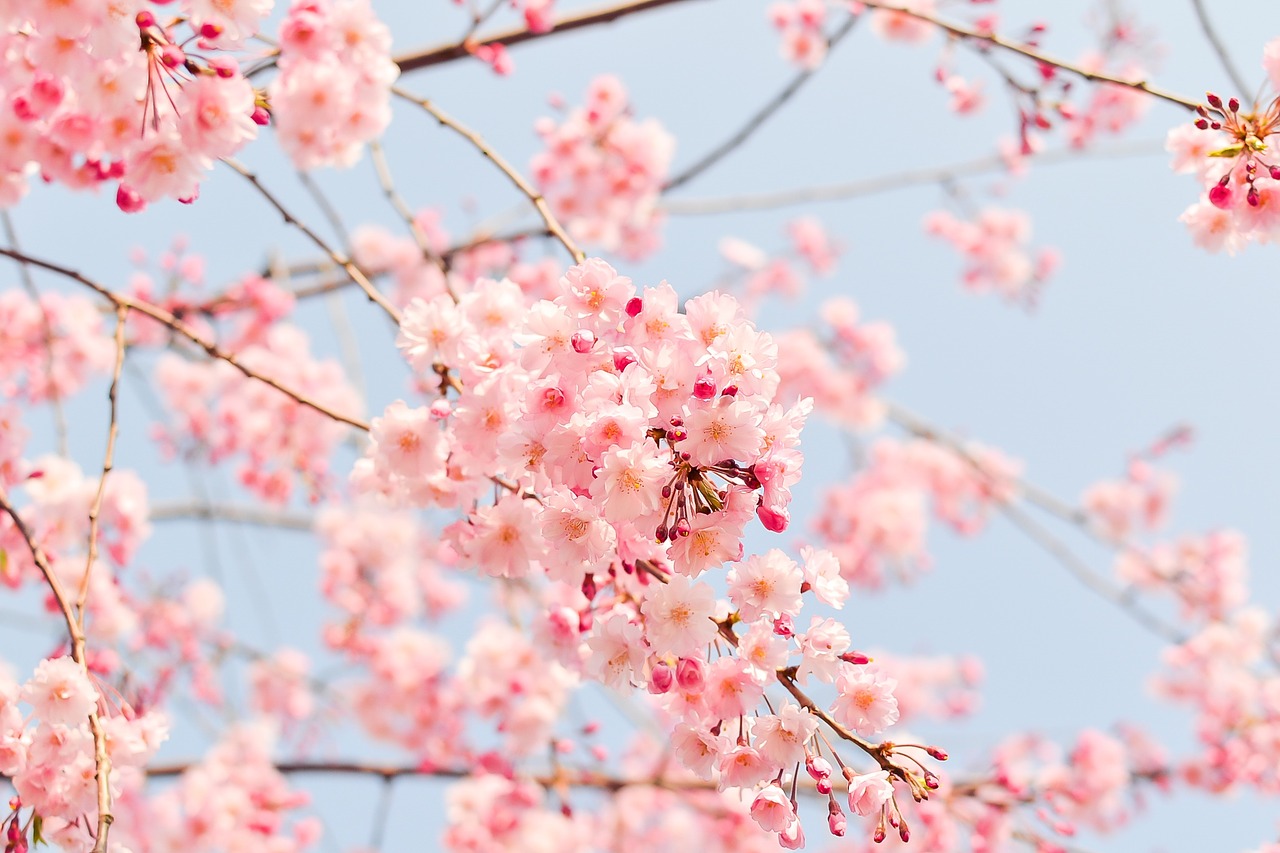 100: 10 Things People Who Have Found Contentment Understand About Uncertainty