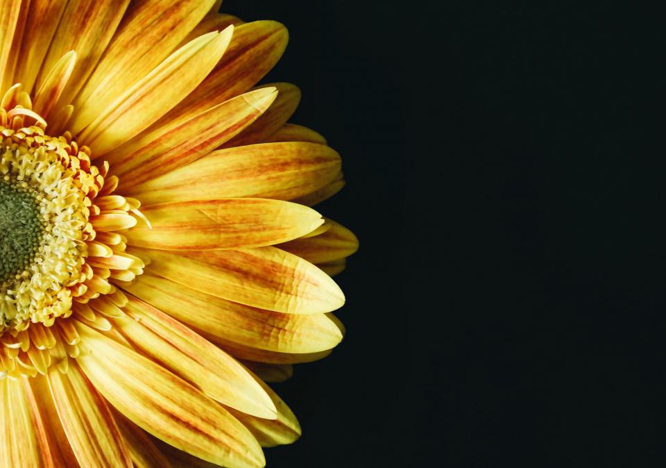 thesimplyluxuriouslie.com | the simply luxurious life