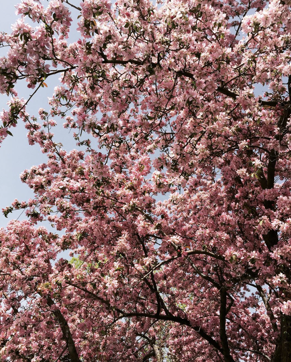 Give It Time: Discovering What Is Worth the Wait