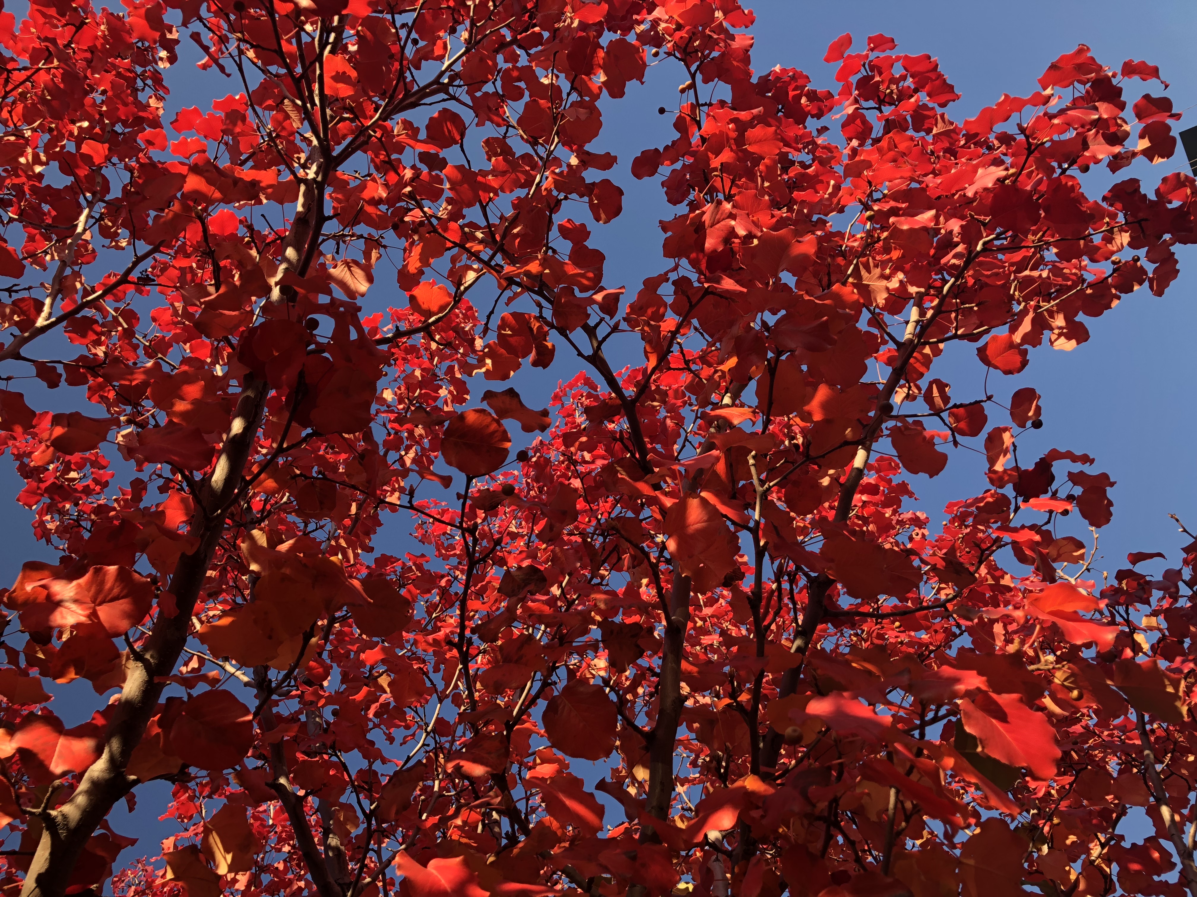 17 Things to Do, Savor & Experience in November