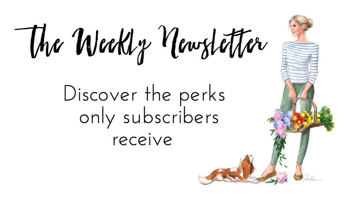 Streamlining Your Inbox? Subscribe to TSLL’s Monthly Newsletter!
