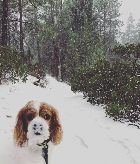 9 Ways to Lift the Winter Blahs