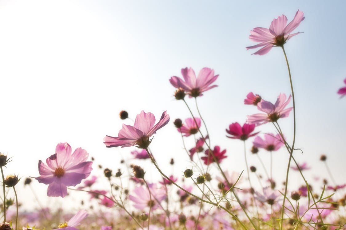 210: 10 Simple Things We Unnecessarily Complicate