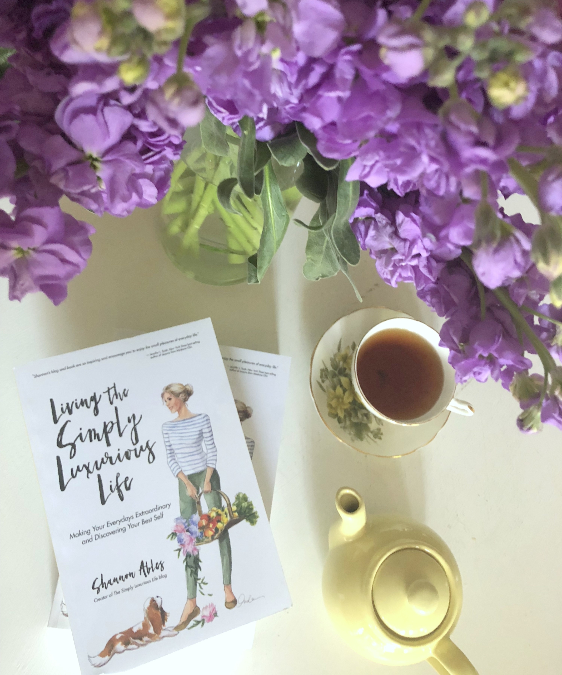 TSLL’s 2nd Book – Preorder a Signed Copy Now!