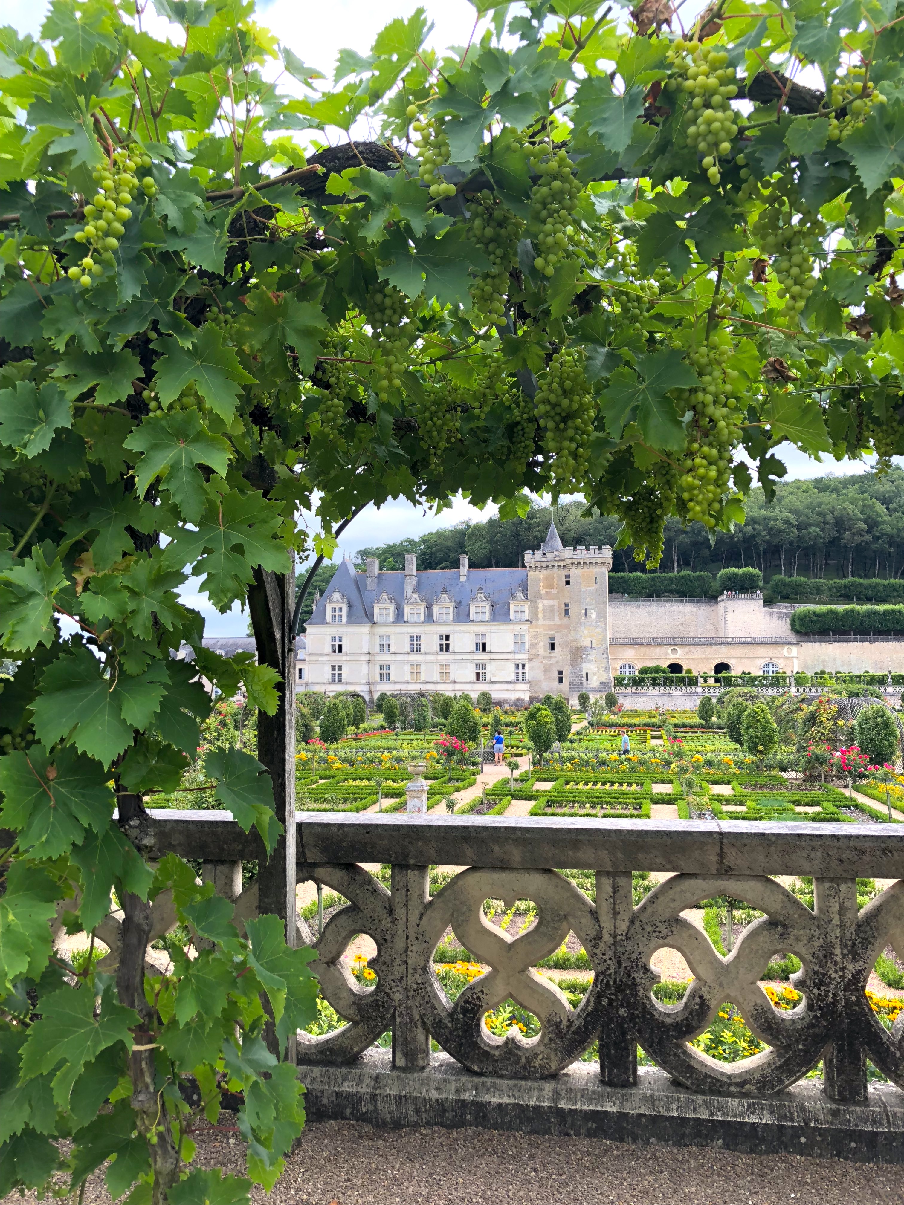 TSLL’s Tour of Les Jardins de Villandry