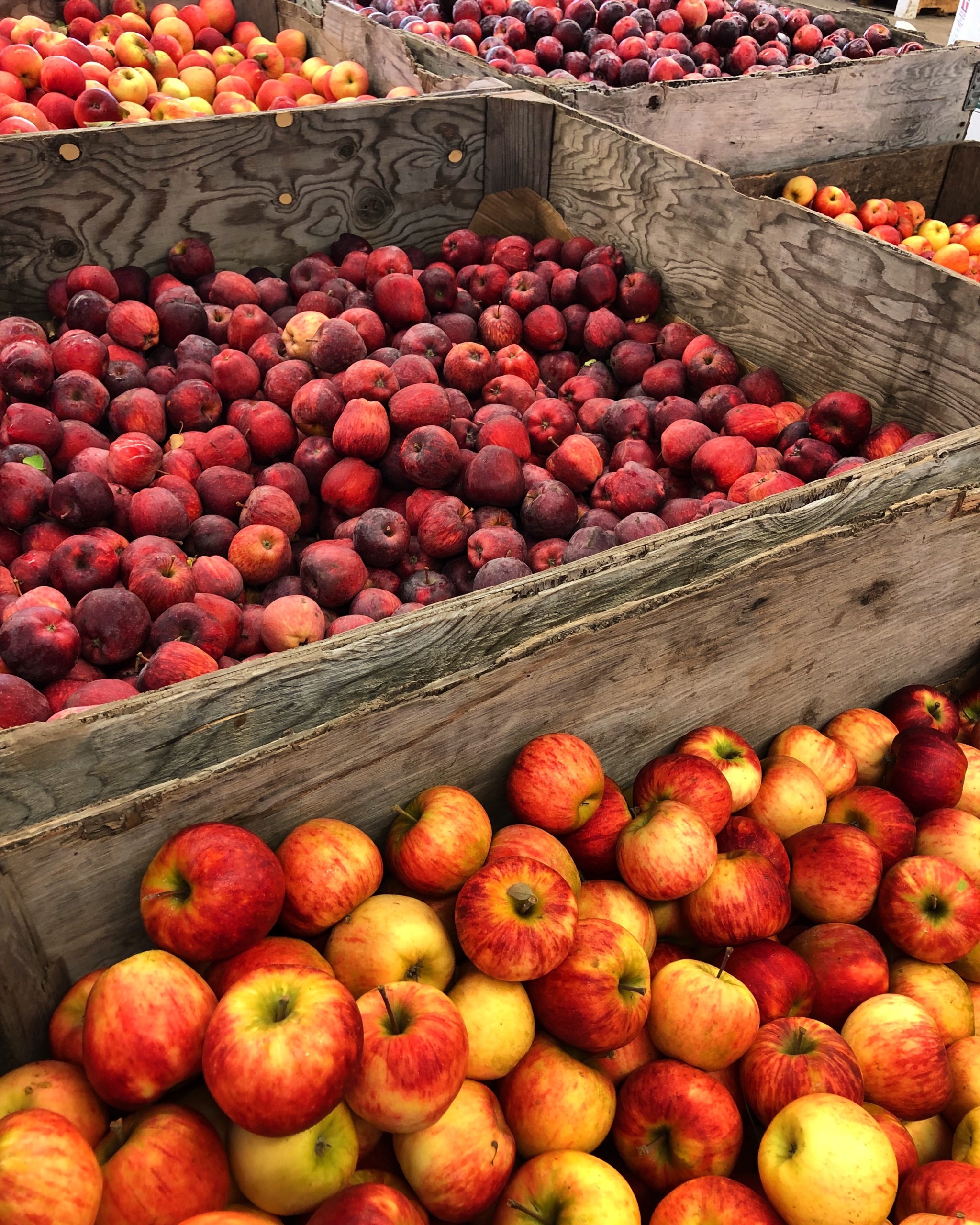 10 Reasons I Love September