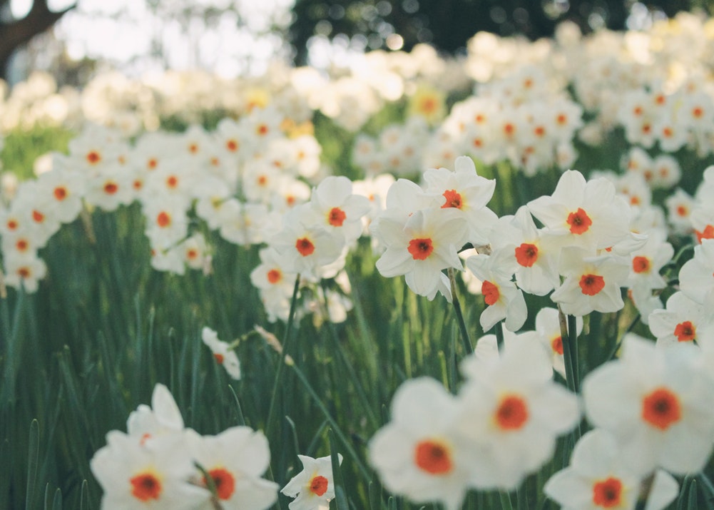 245: 10 Ways Resilience During Good Times Can Elevate Your Everydays