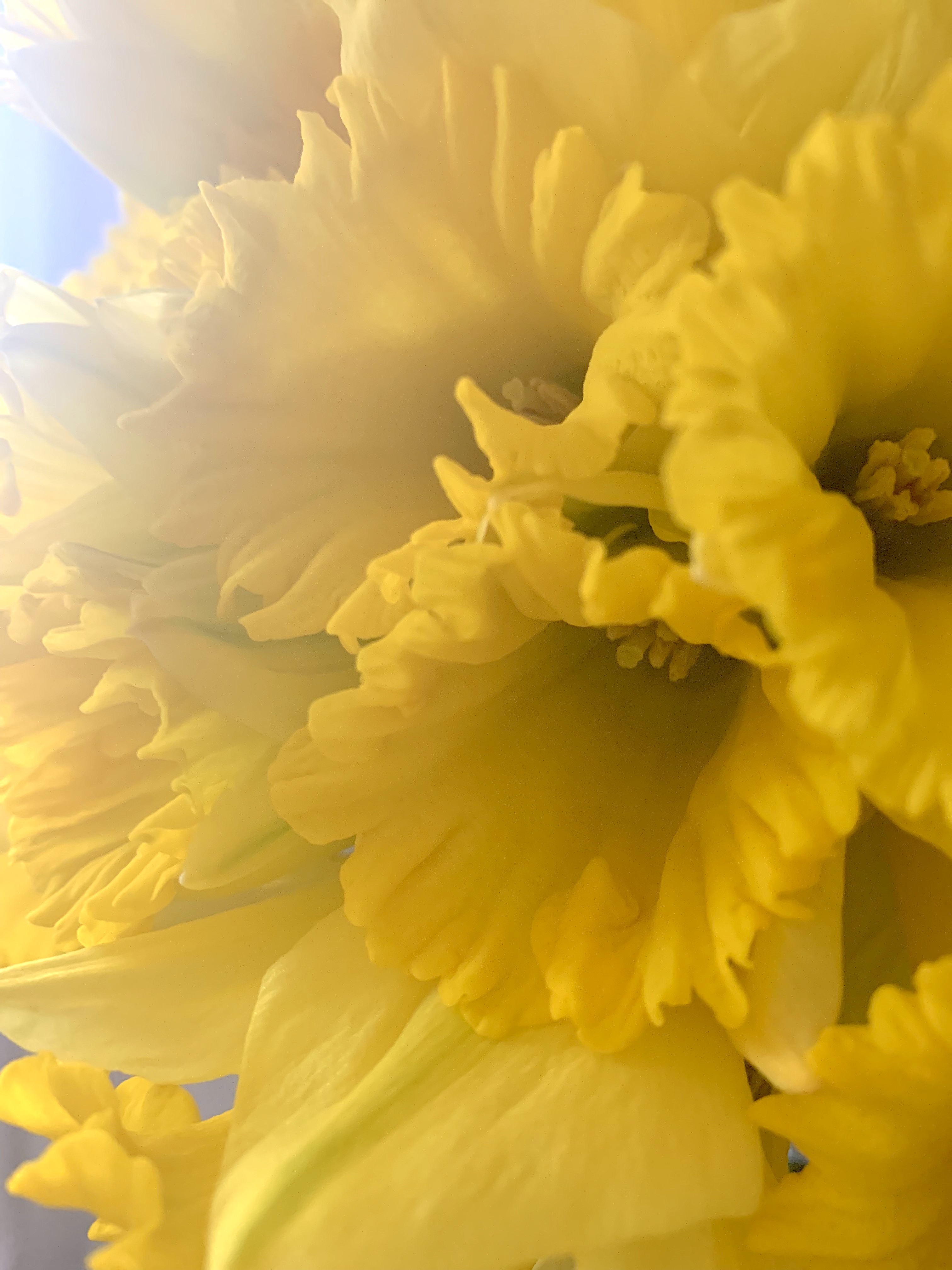 Why Not . . . Take In All That Spring Has To Offer?
