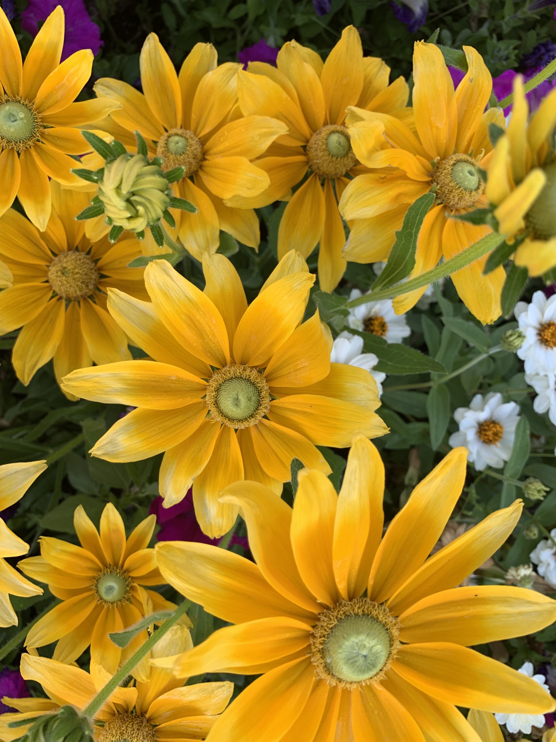10 Tips for Prepping Your Signature Yard & Garden