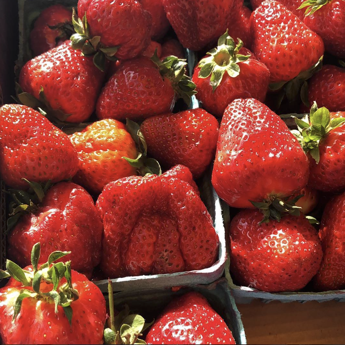 Food Shopping in Season & Locally: An-Absolute-Must or Snobby? Neither – Let Me Explain