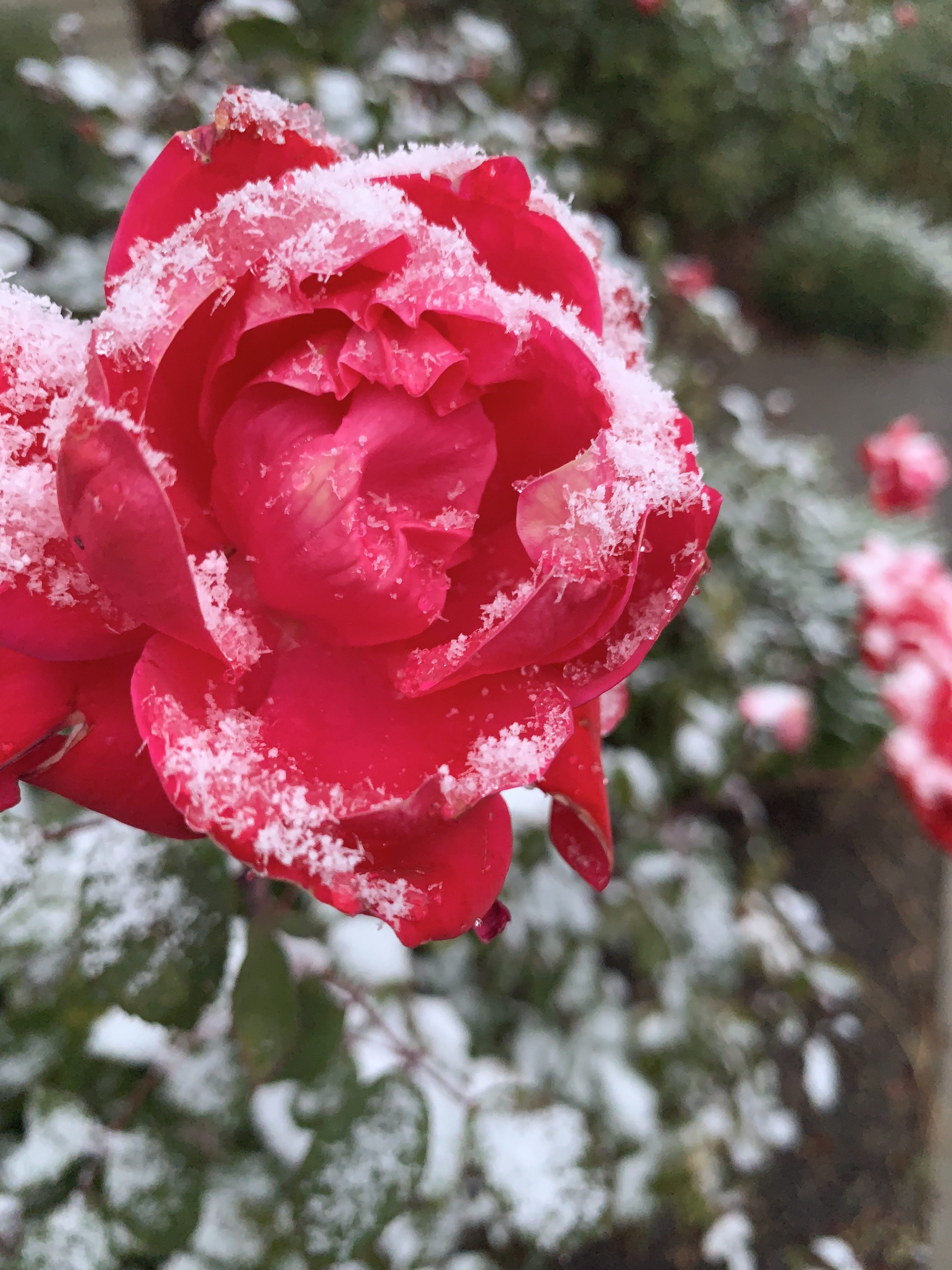 5 Simple New Ways to Invigorate Your Everyday