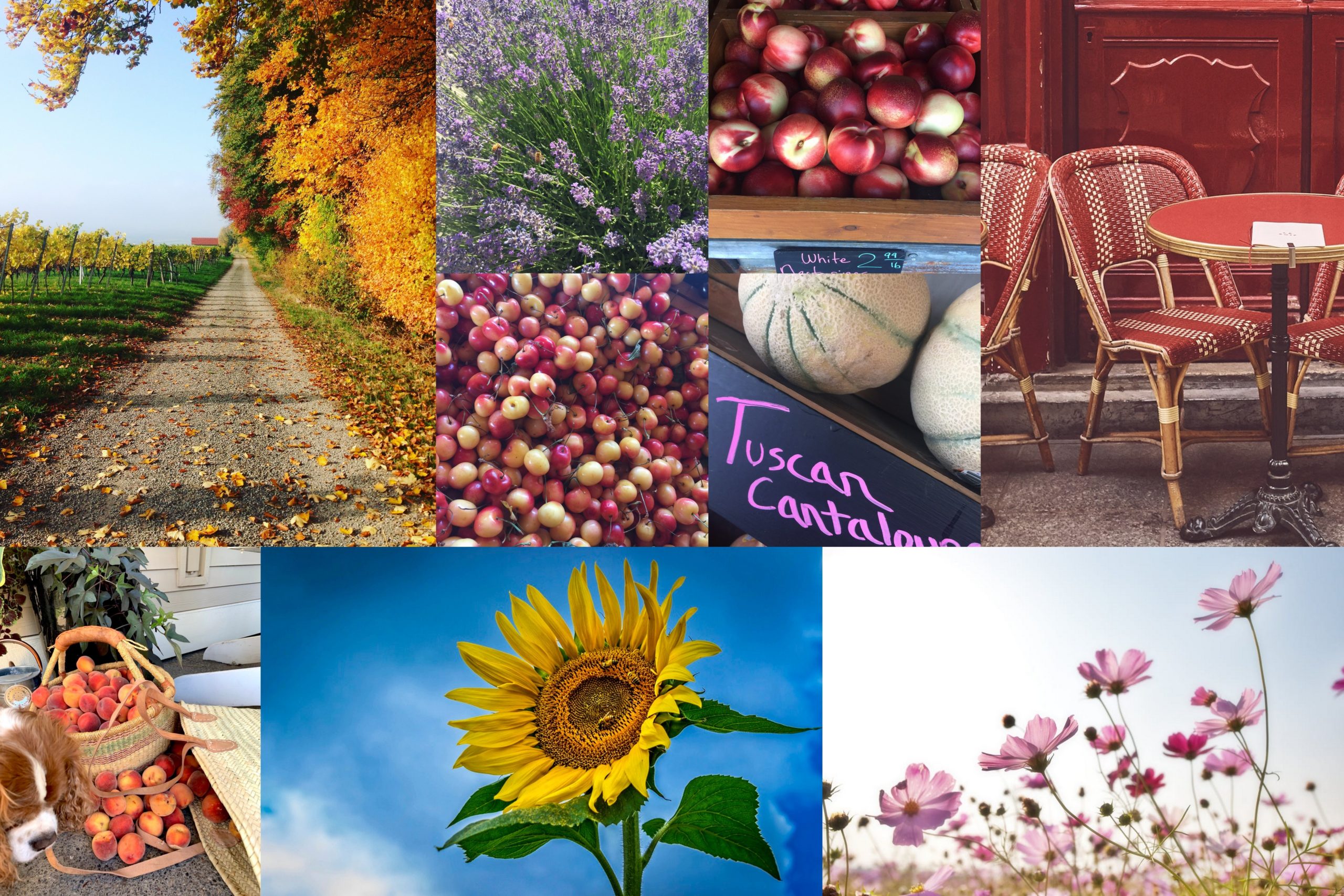 thesimplyluxuriouslie.com | the simply luxurious life