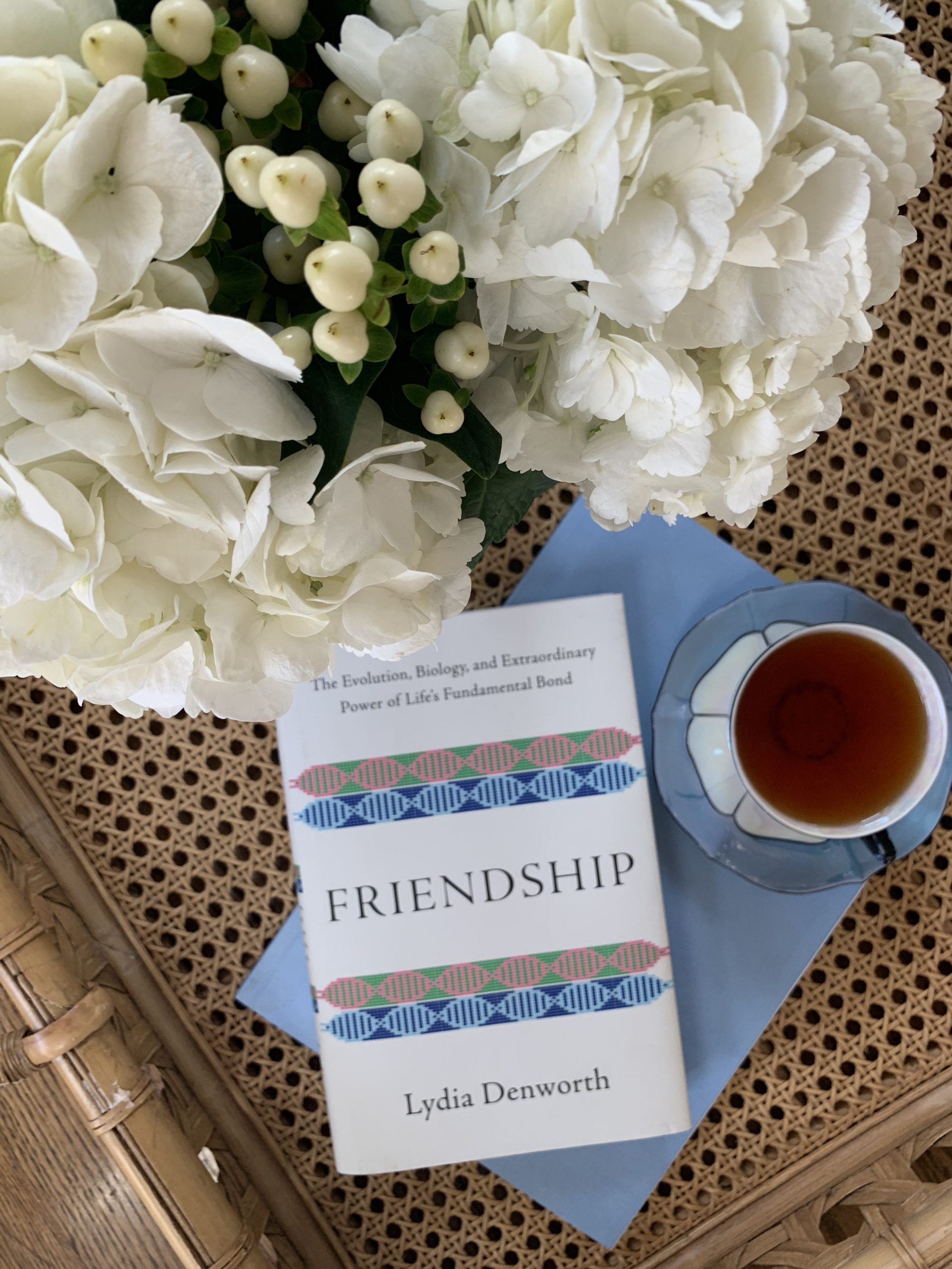 274: Quality Friendships = A Quality Life: 10 Benefits of Cultivating Healthy Bonds