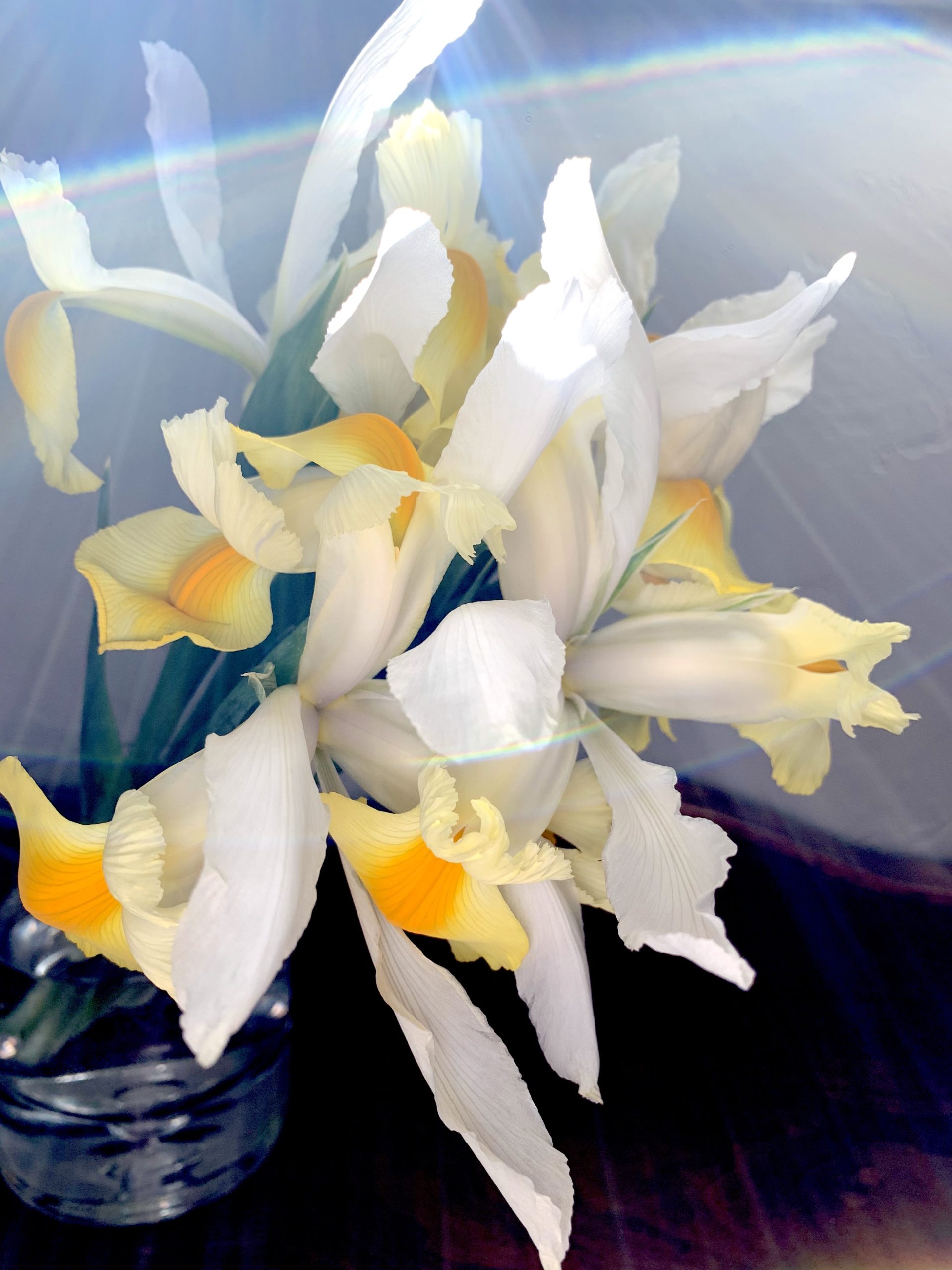 thesimplyluxuriouslie.com | the simply luxurious life