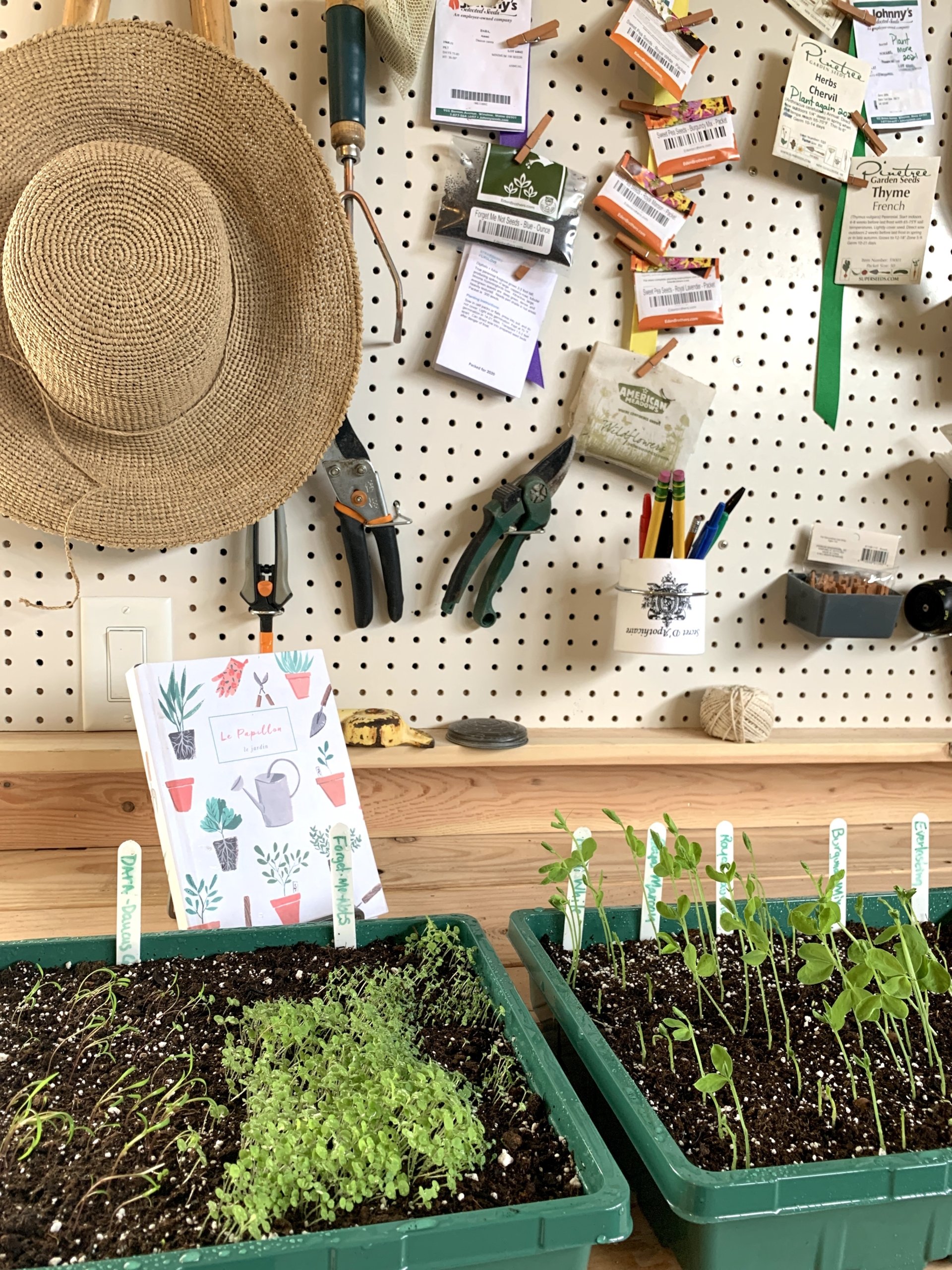 16 Things I Am Doing This Winter for My Garden & 11 Gardening Books to Enjoy