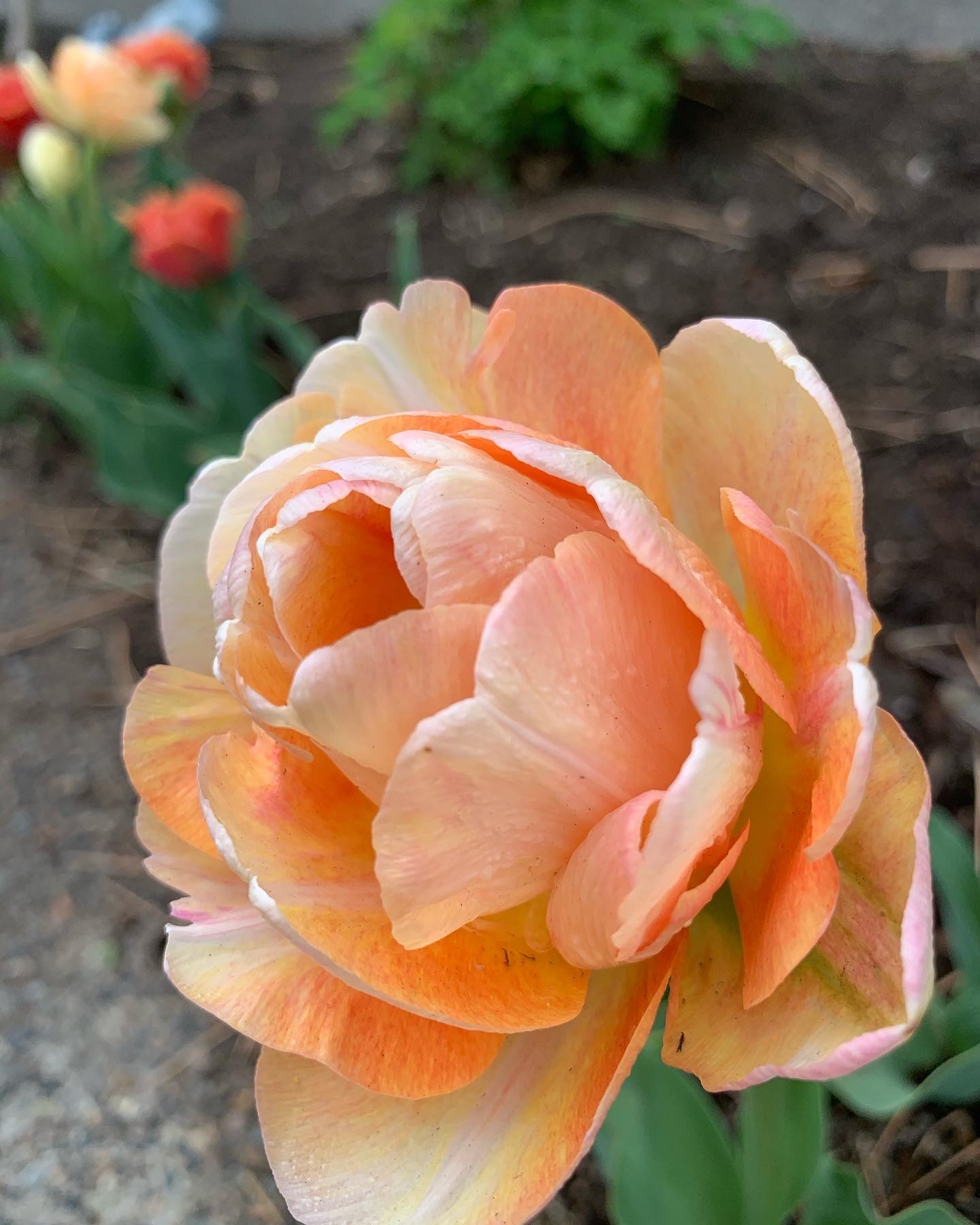 16 Things That Made Me Smile This Month, So Far . . .