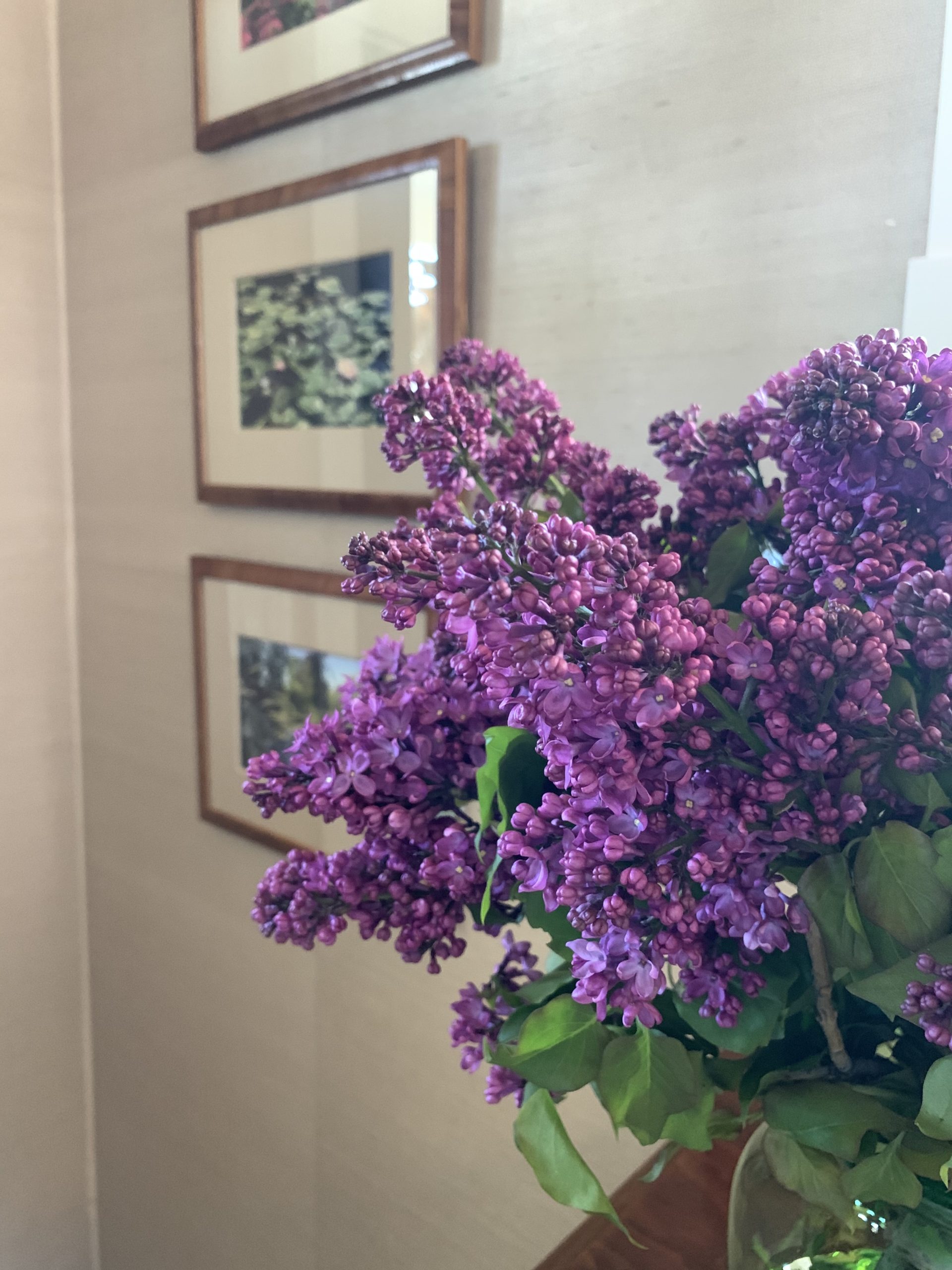 A Friendly French Foyer: TSLL’s Home Tour (+ 6 Tips for Designing Your Own Welcoming Foyer)