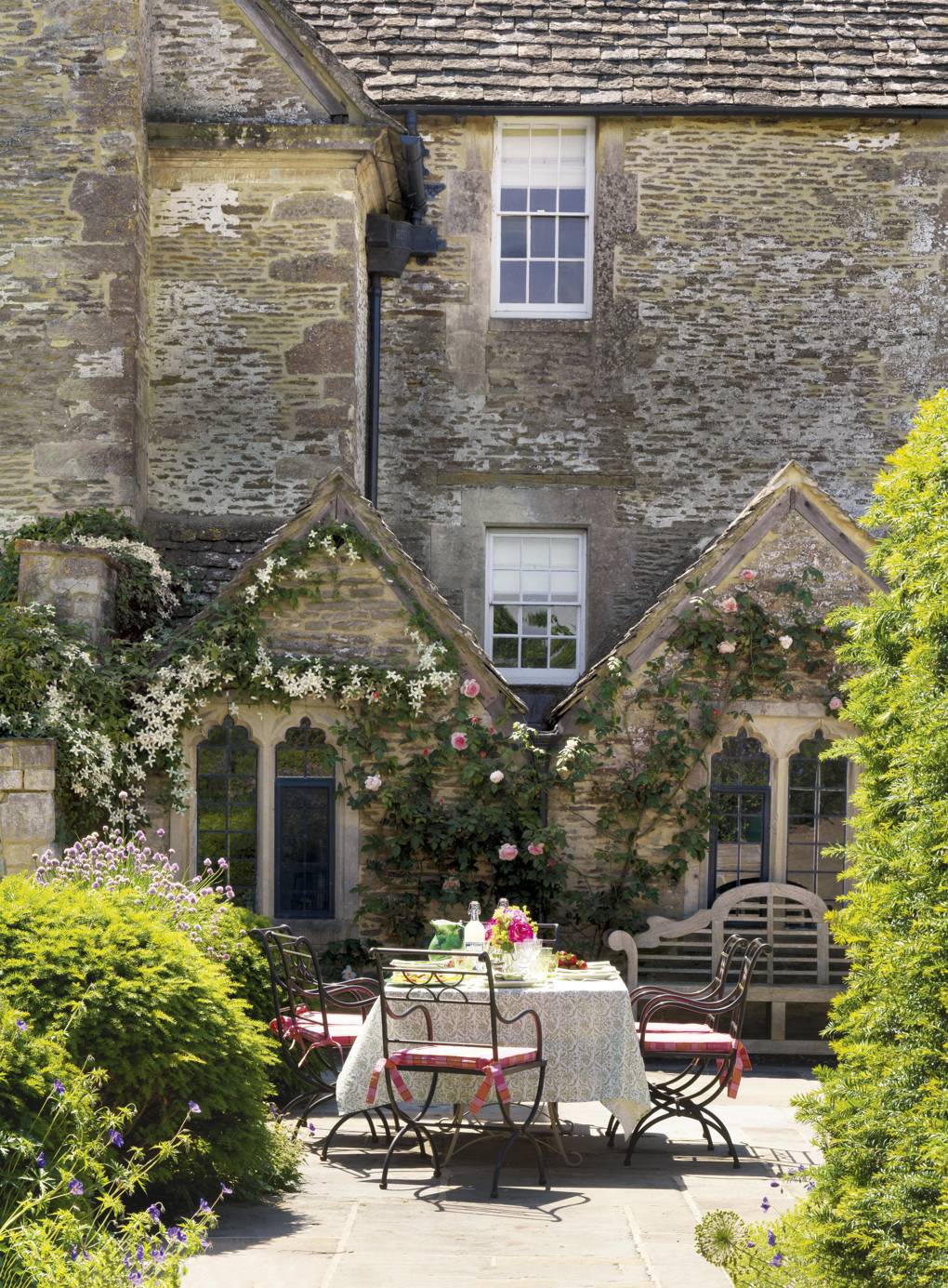 The Rambling Rose for Your Home & Garden