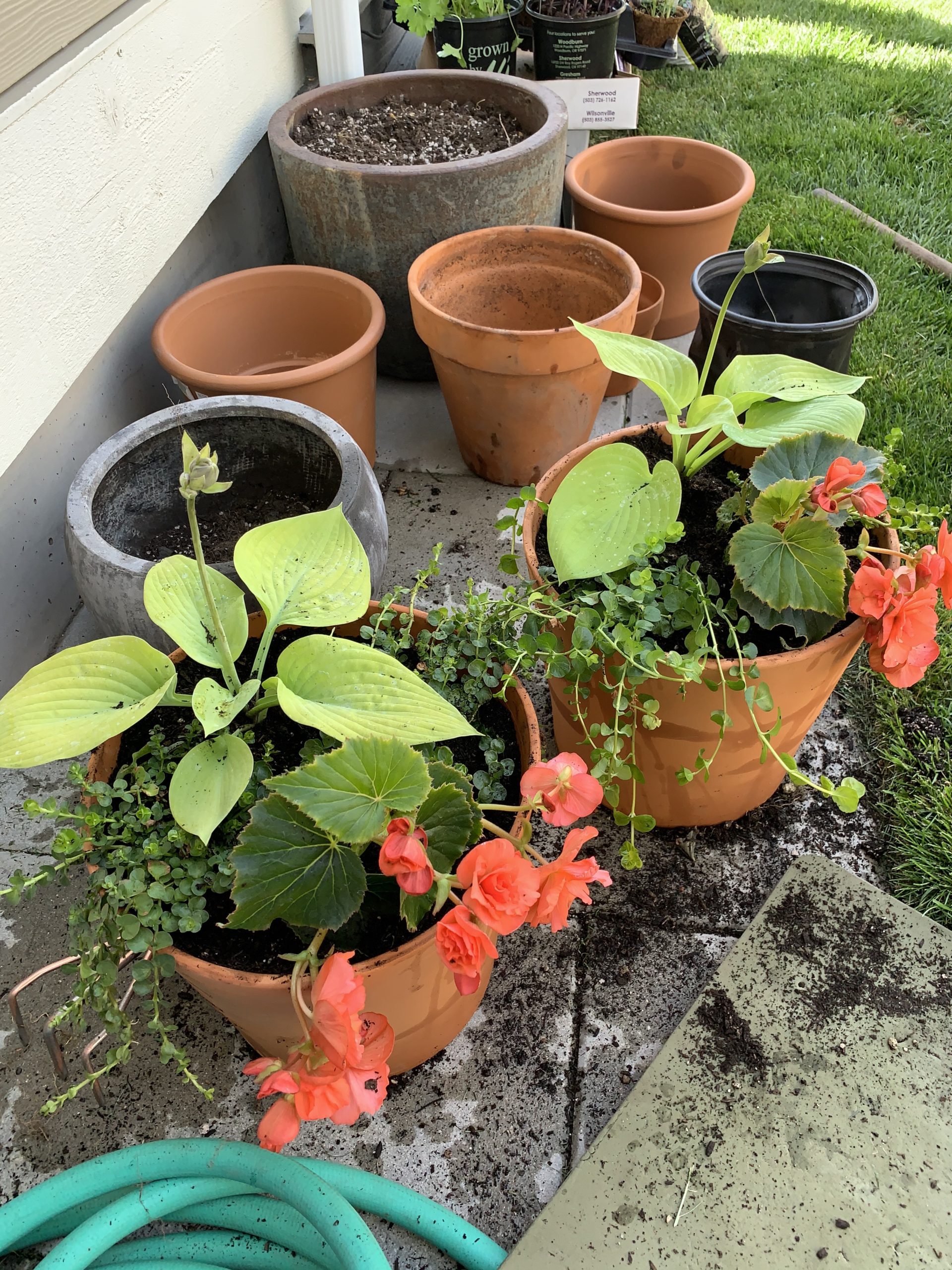 9 Garden Projects at TSLL’s Home