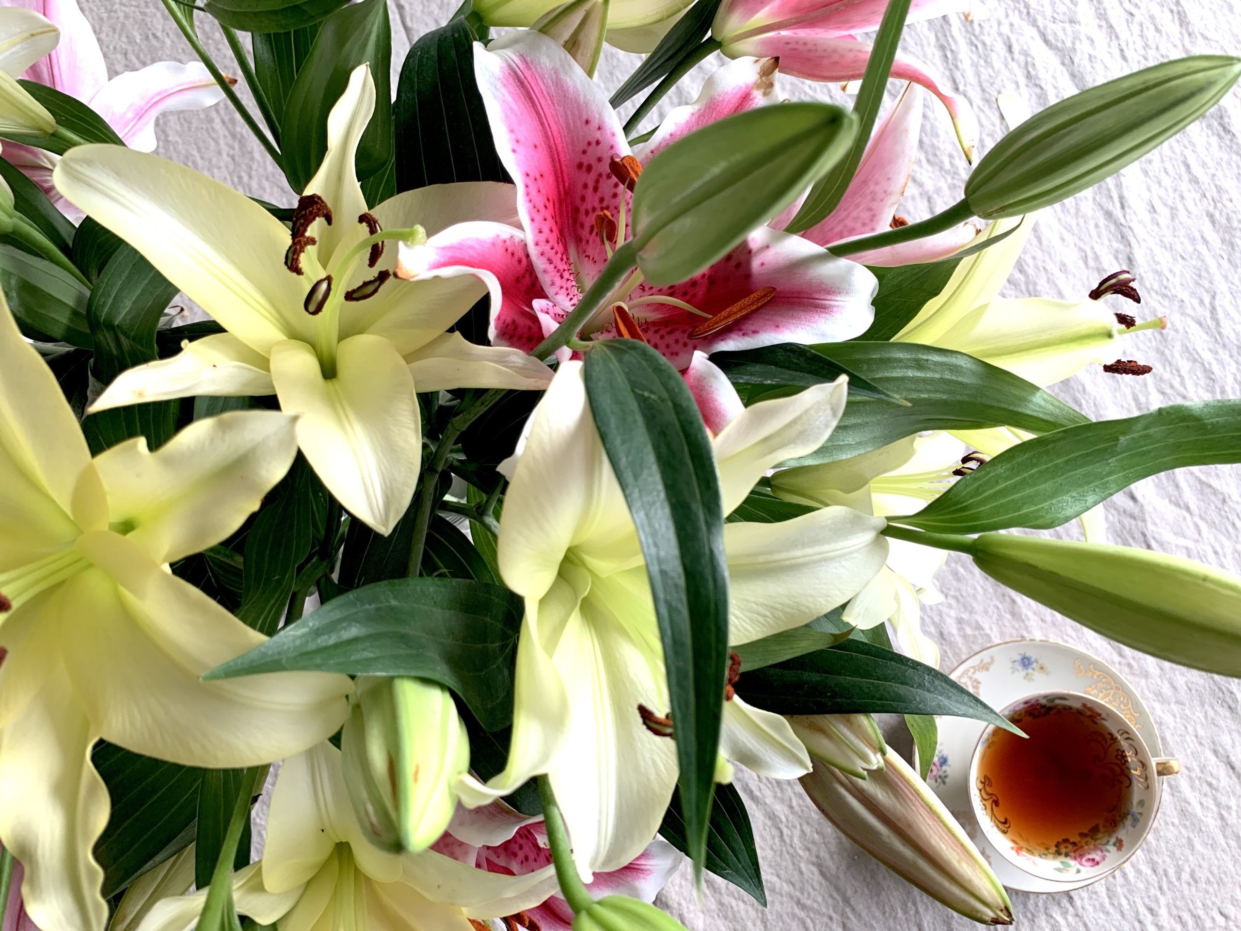 21 Things That Made Me Smile This Month, So Far . . .