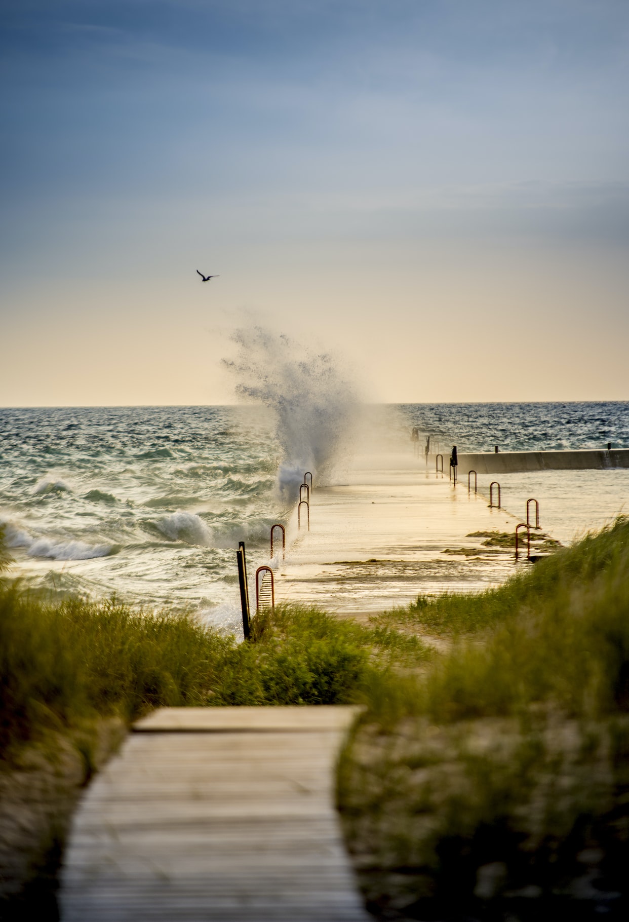 295: The Gift of Discontentment (yep, that’s no typo)