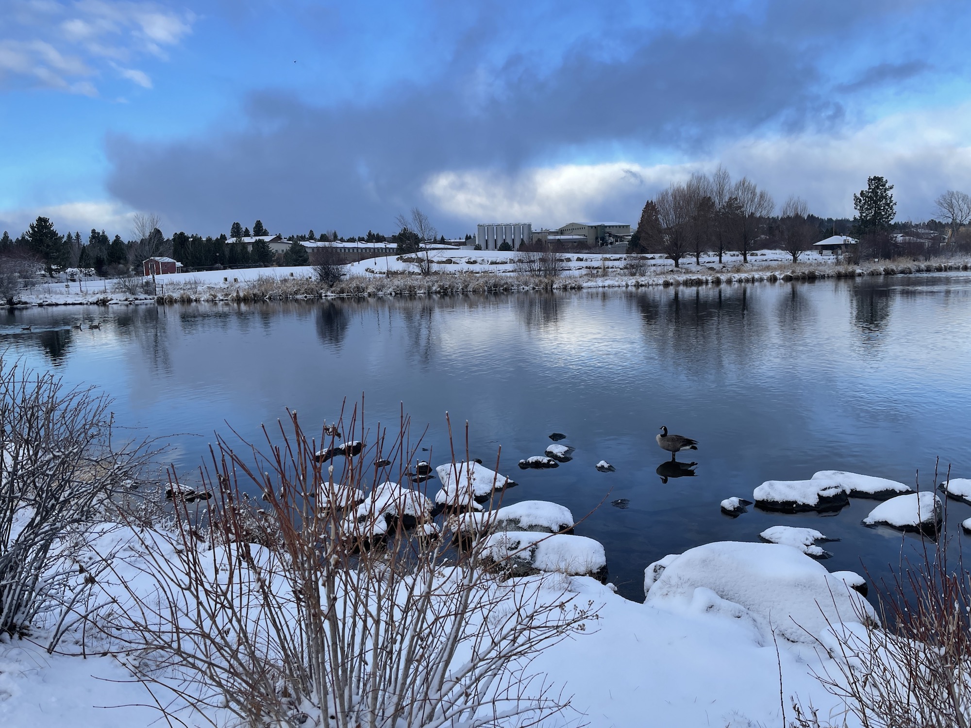 13 Things That Made Me Smile This Month, So Far . . .