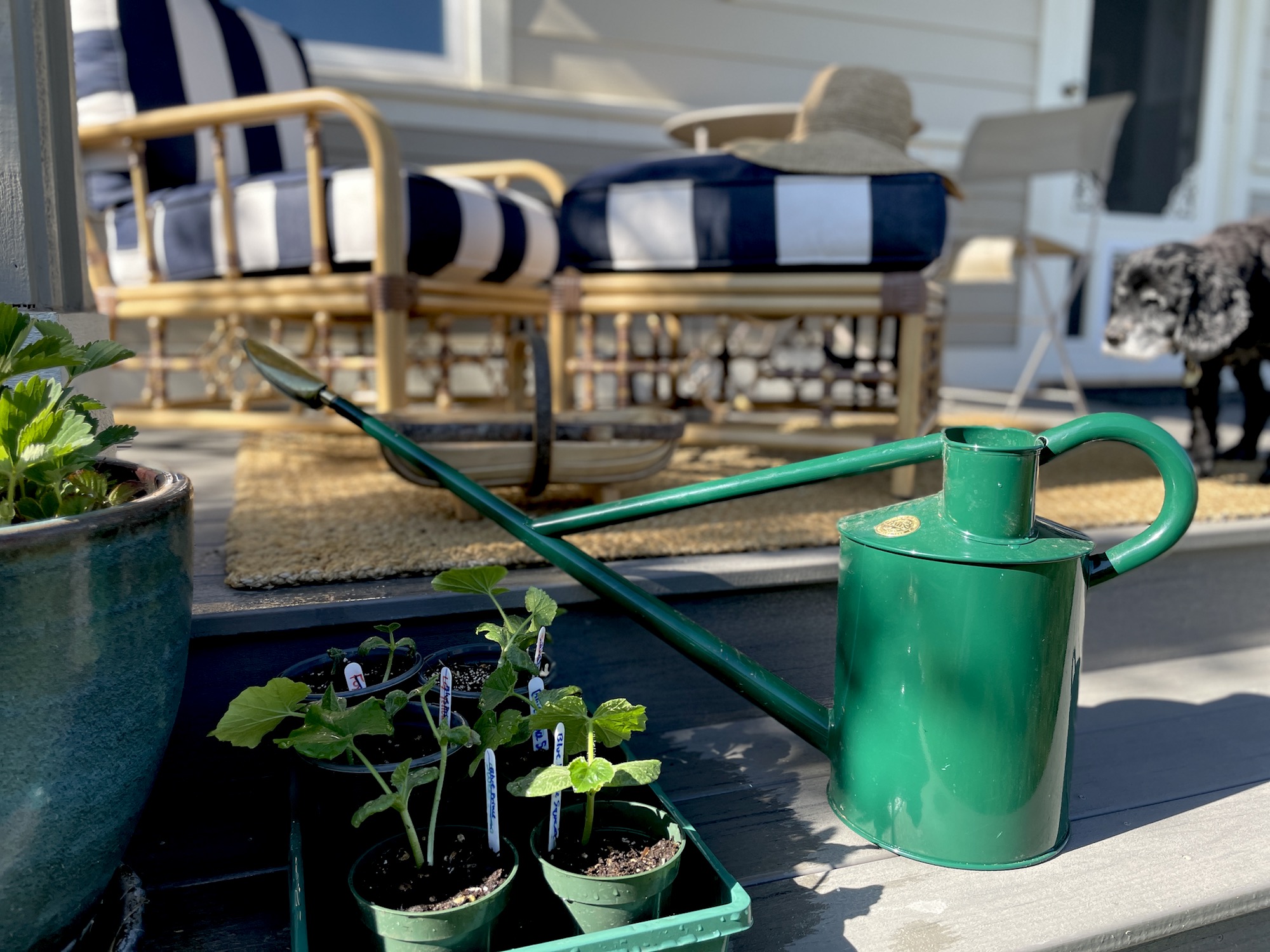 7 British Gardening Brands To Know (and the 2nd Giveaway!)