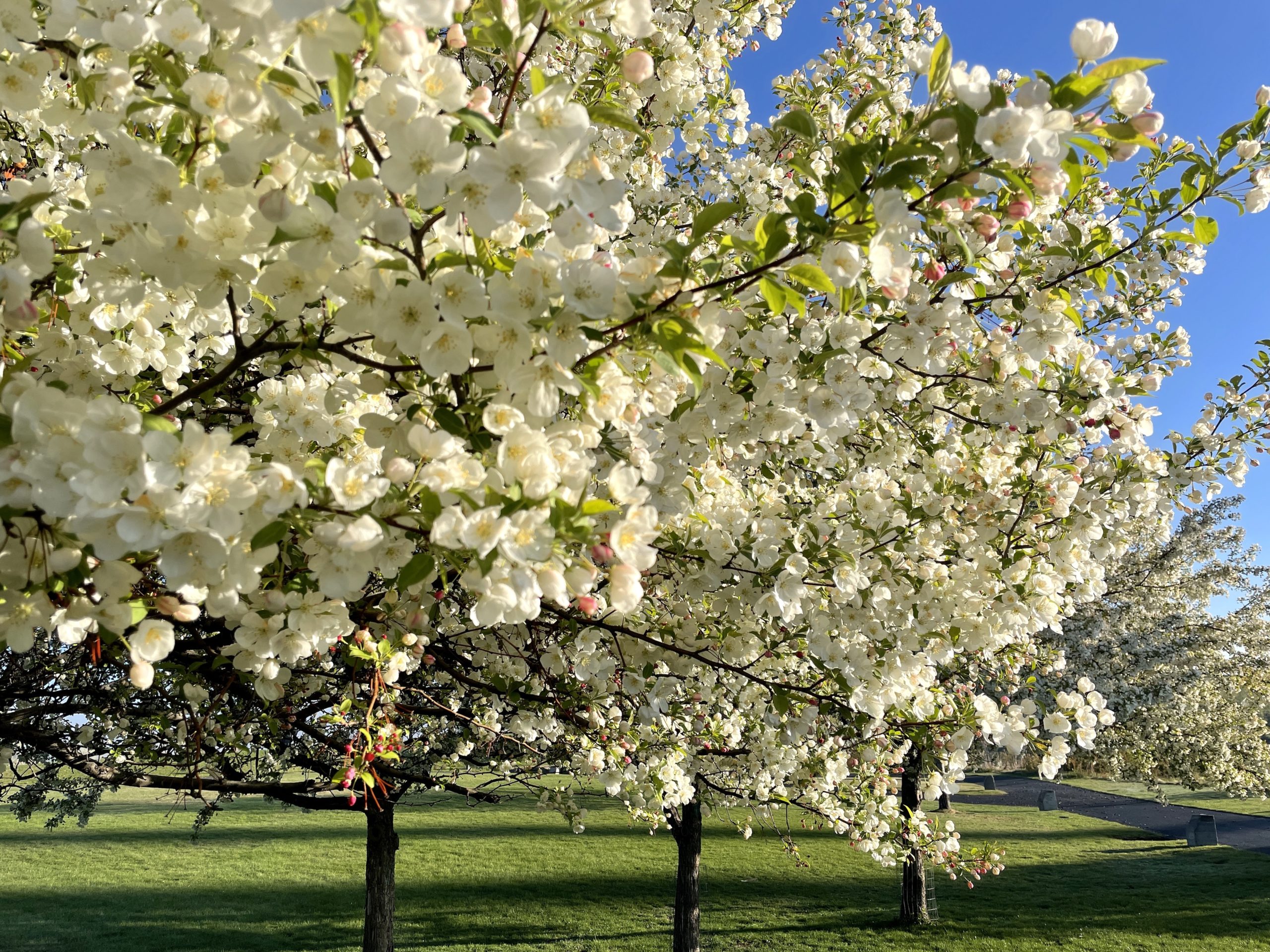 18 Things That Made Me Smile This Month, So Far . . .