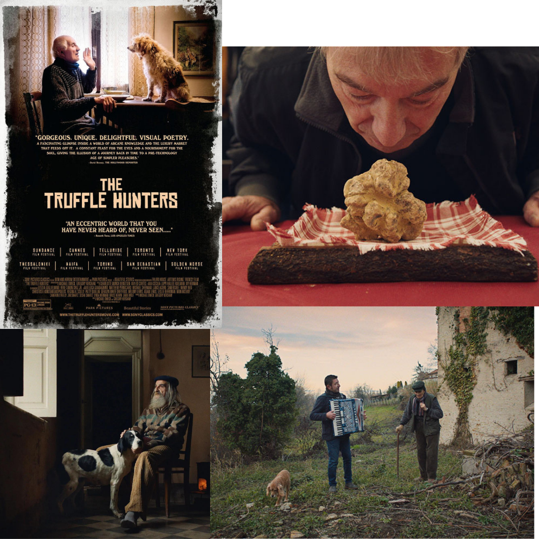 Petit Plaisir #308: The Truffle Hunters