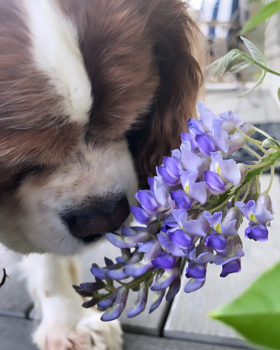19 Things That Made Me Smile This Month, So Far . . .