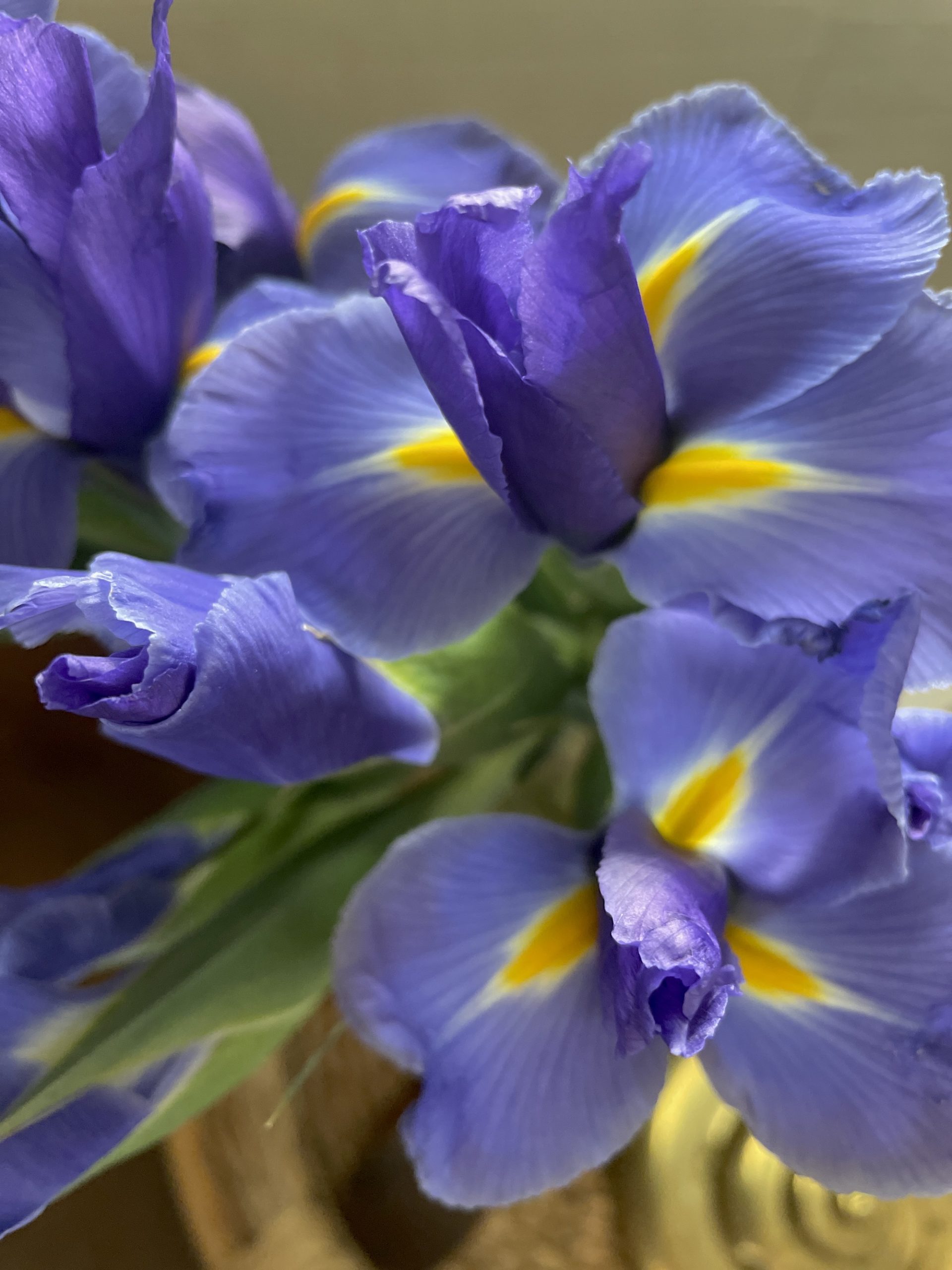 10 Saturday Ponderings . . .