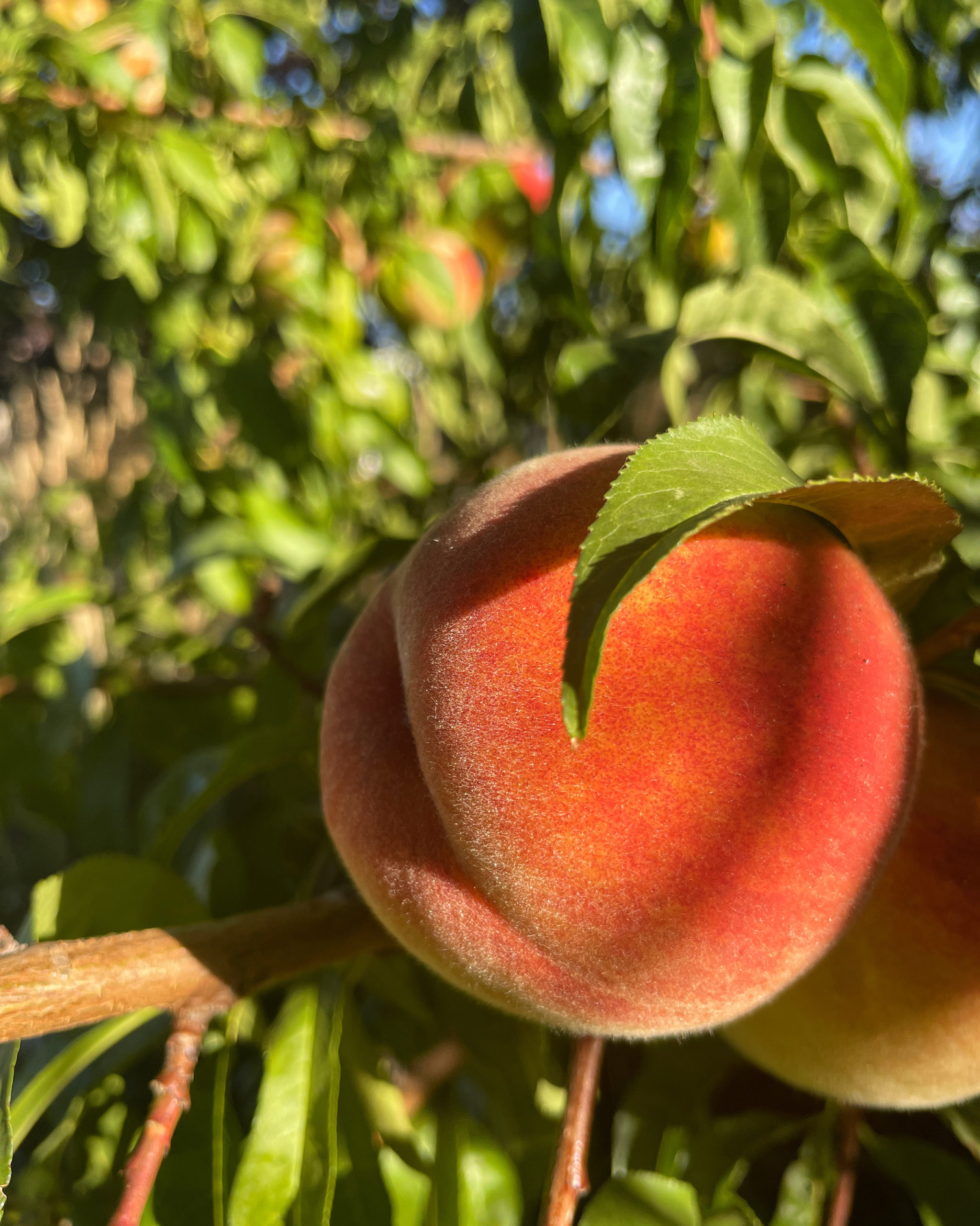 13 Things That Made Me Smile This Month, So Far . . .