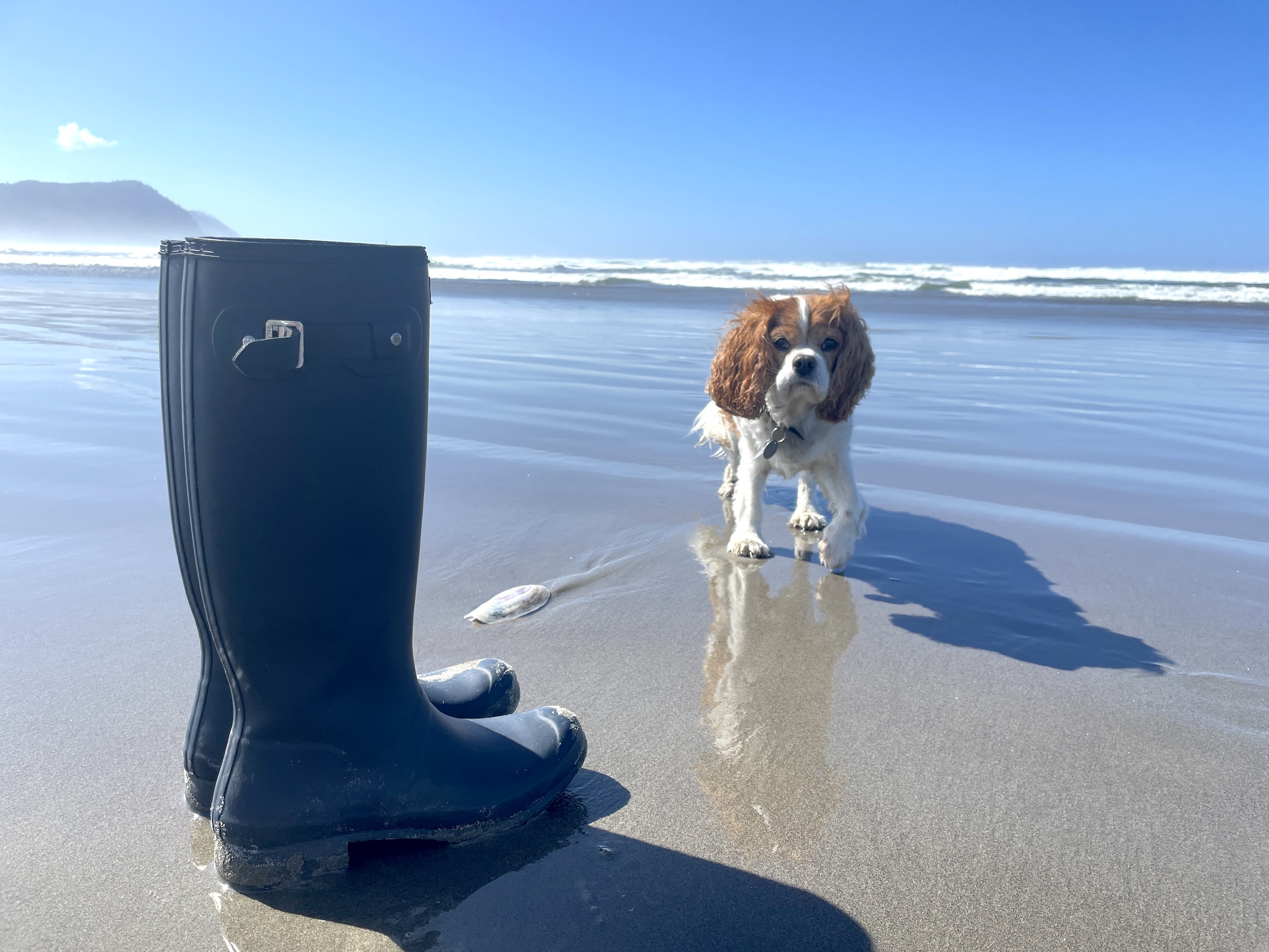 Autumn Begins at the Oregon Coast
