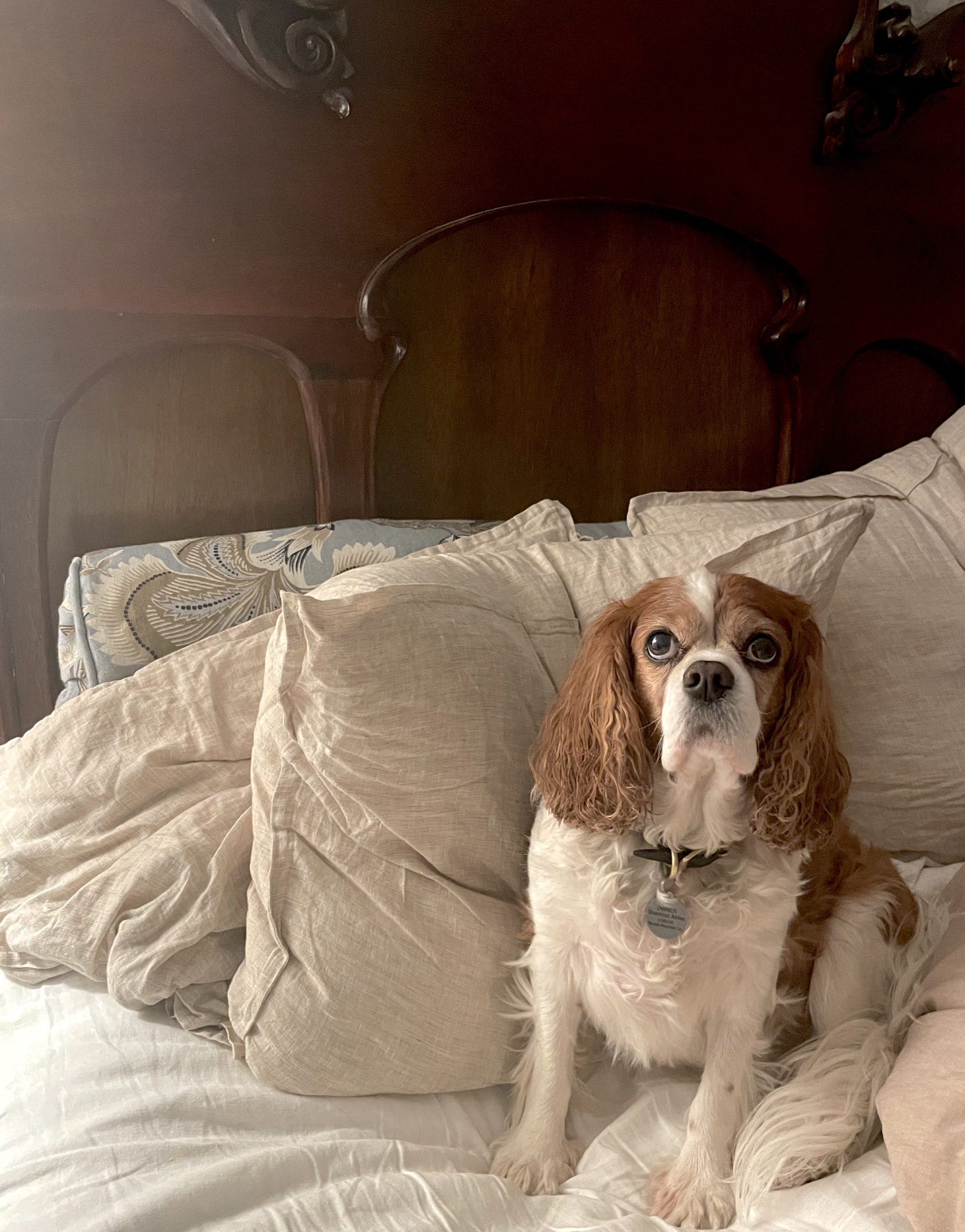 thesimplyluxuriouslie.com | the simply luxurious life