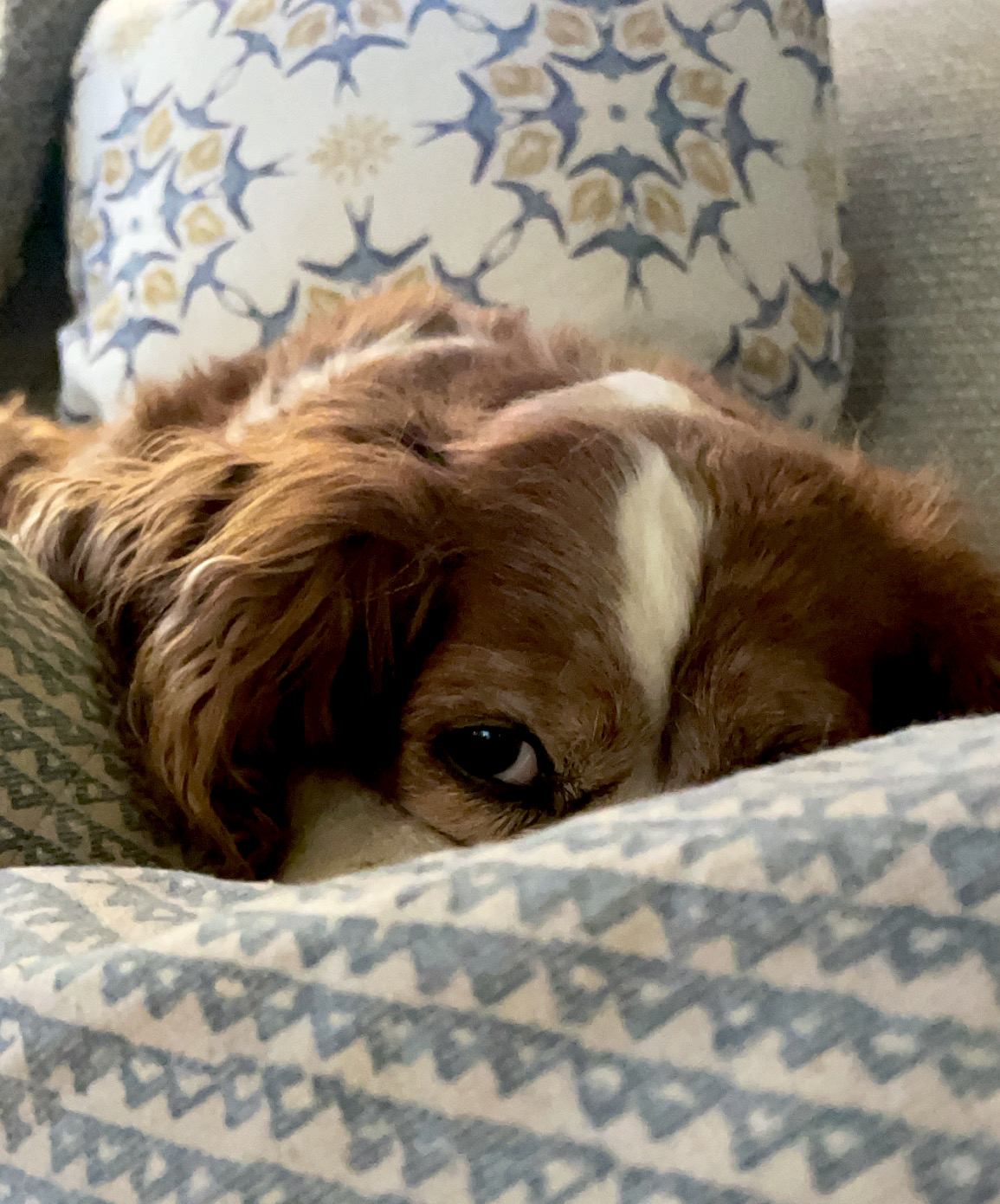 8 Saturday Ponderings . . .