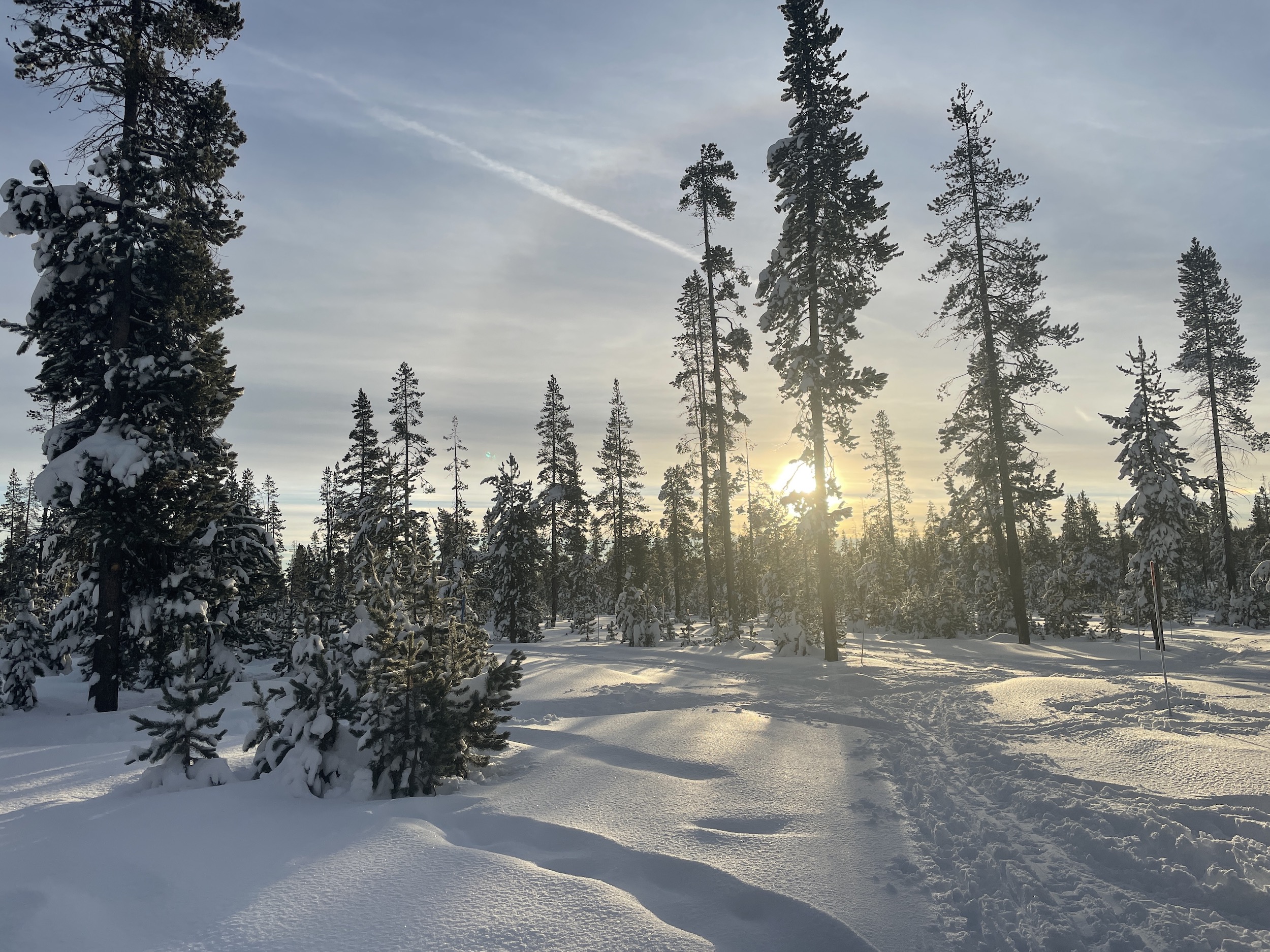 Thoughts on Winter Solstice: A Time for Renewal, A Time of ‘Great Beauty’ Waiting to Be Found