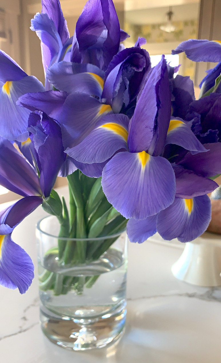The Paradox of Having Routines: Spontaneity and Creativity Arrive in Abundance