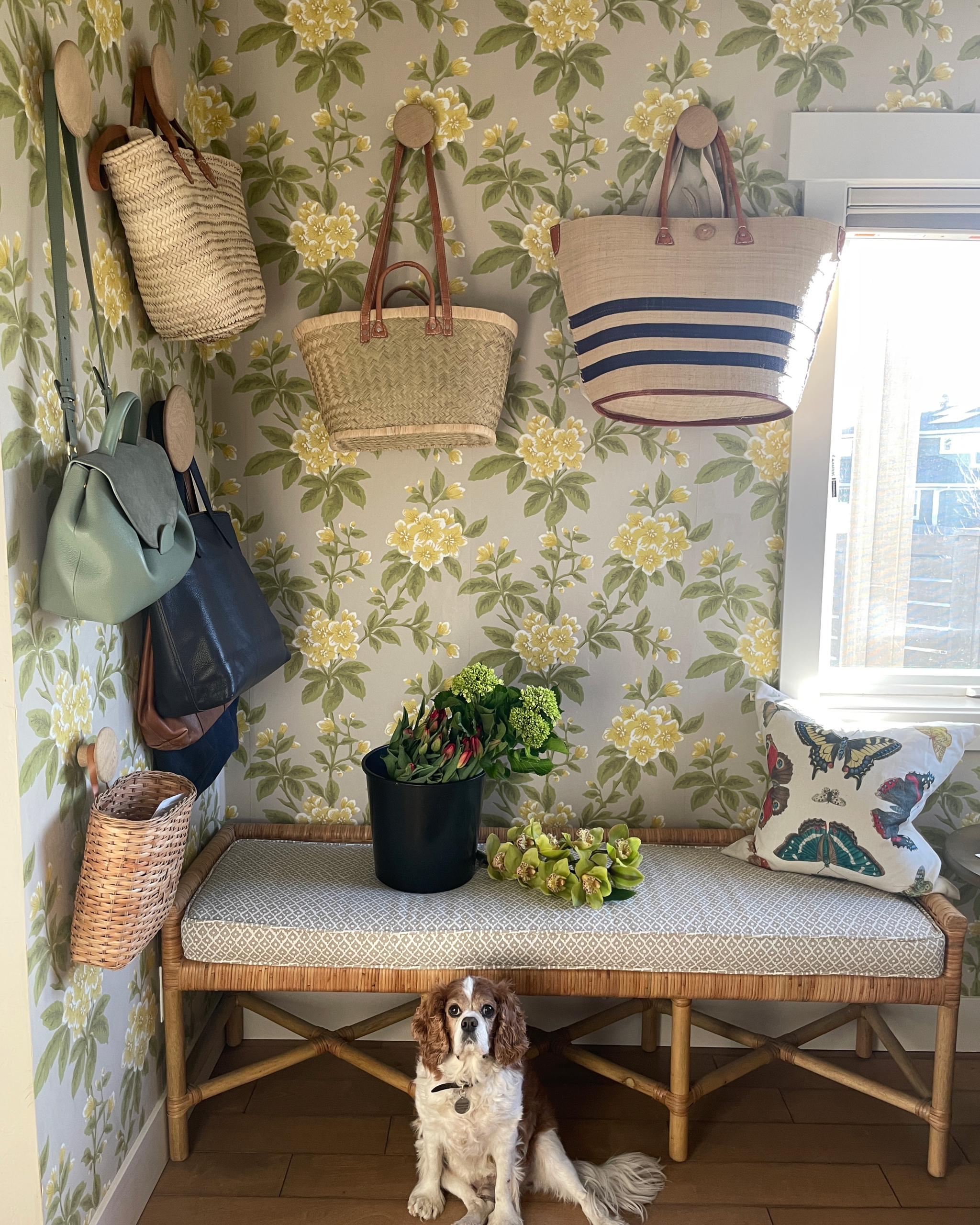 16 Things That Made Me Smile This Month, So Far . . .