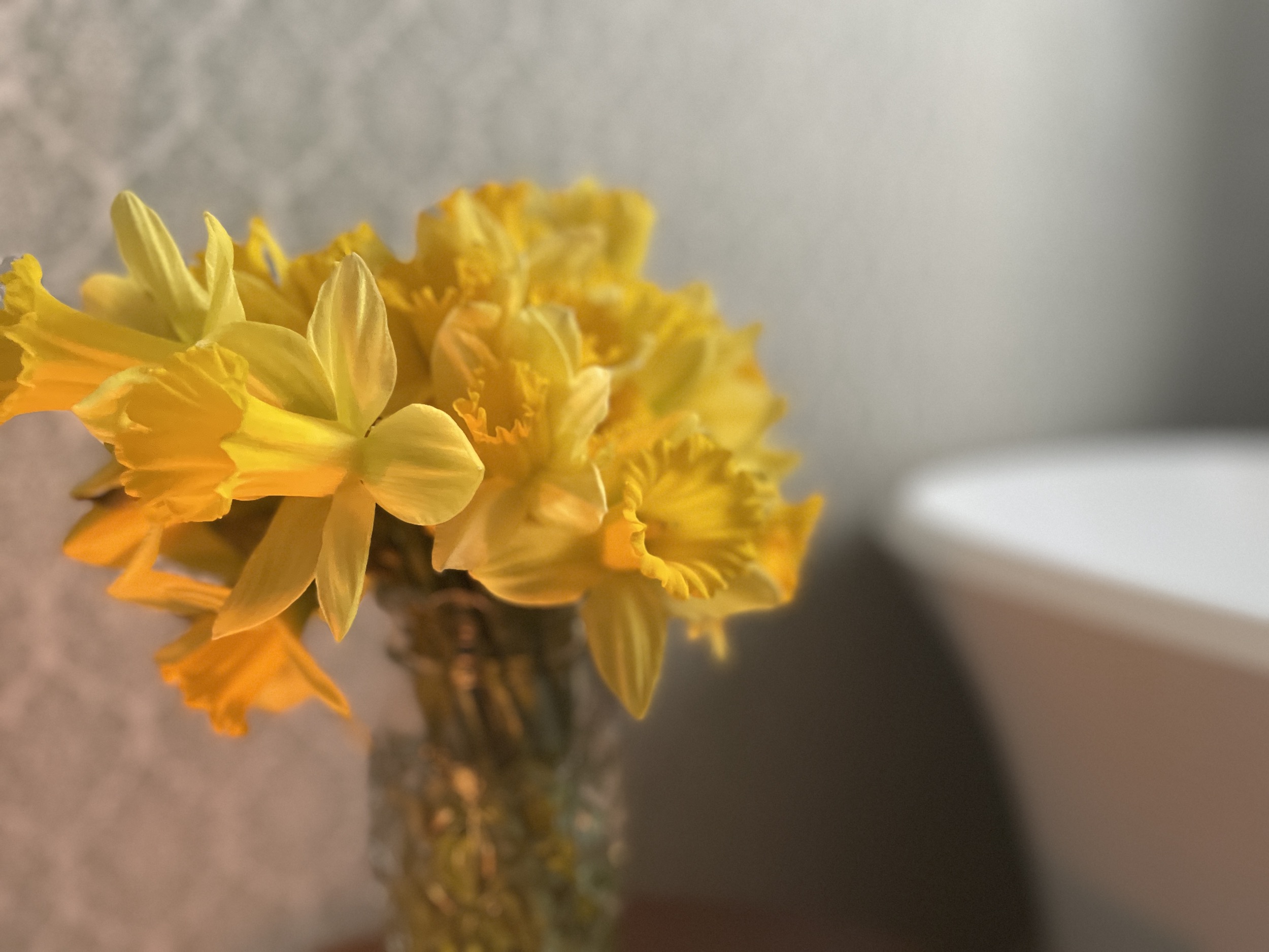 Small, Yet Significant Everyday Details at Home
